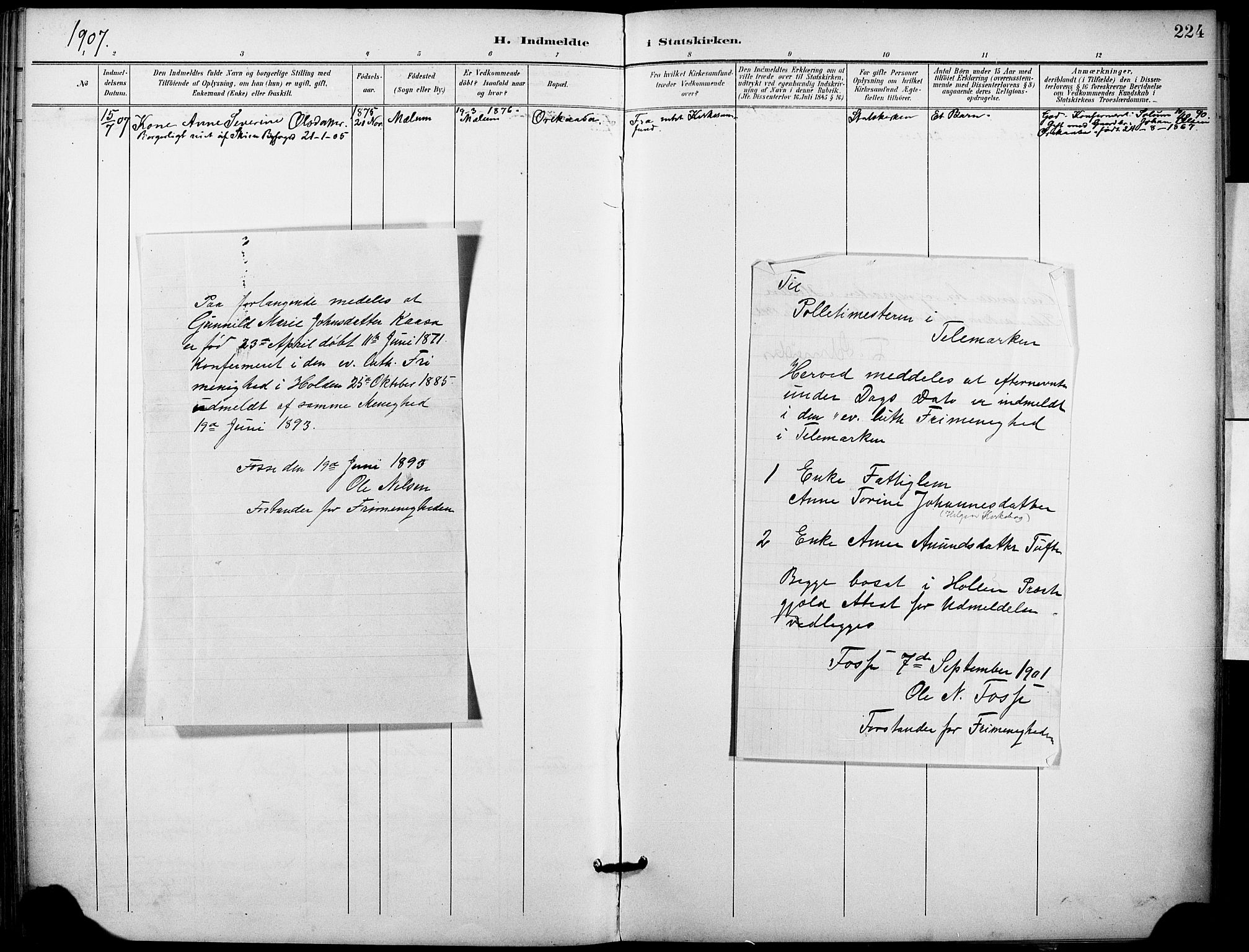 Holla kirkebøker, SAKO/A-272/F/Fa/L0010: Parish register (official) no. 10, 1897-1907, p. 224