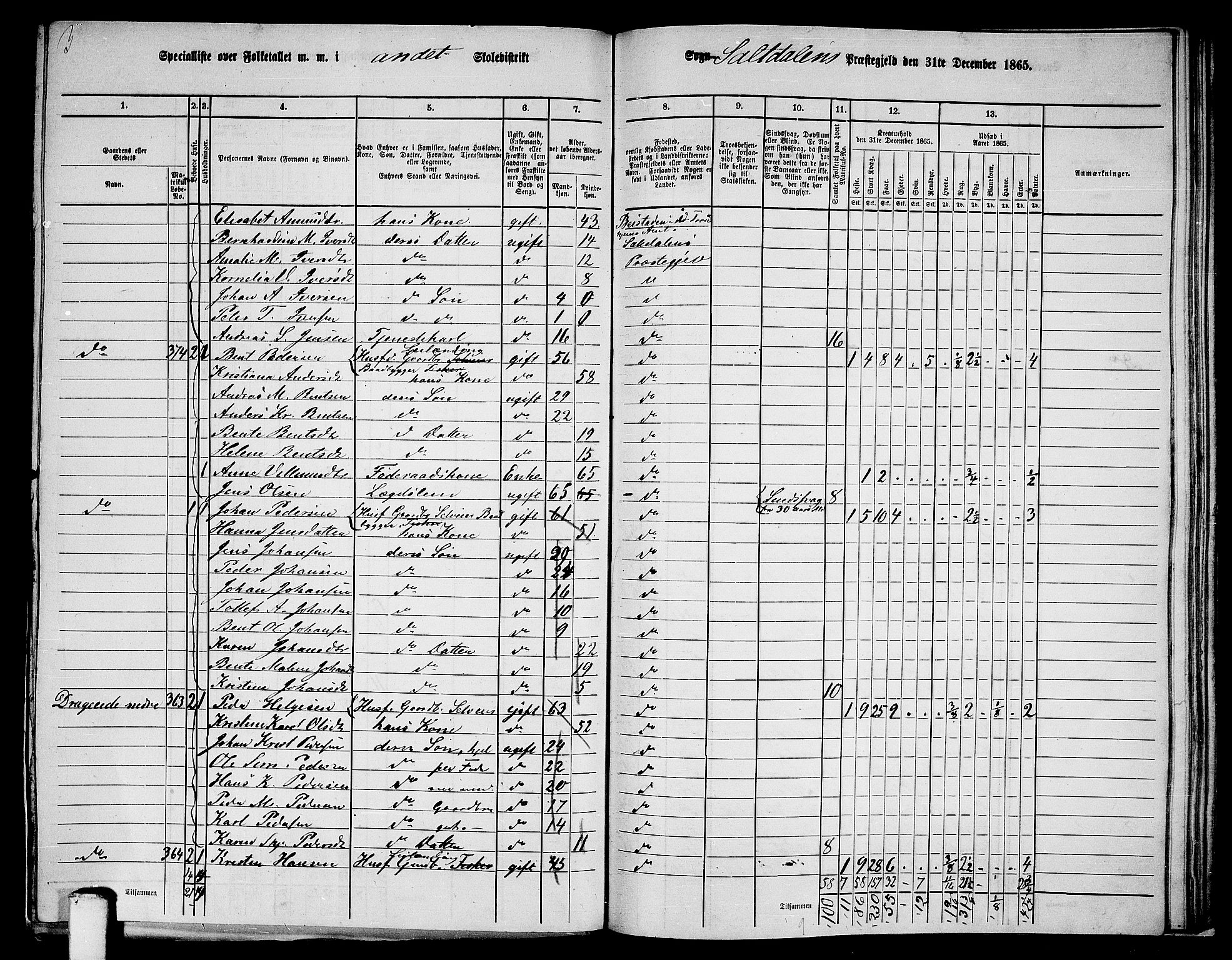 RA, 1865 census for Saltdal, 1865, p. 31