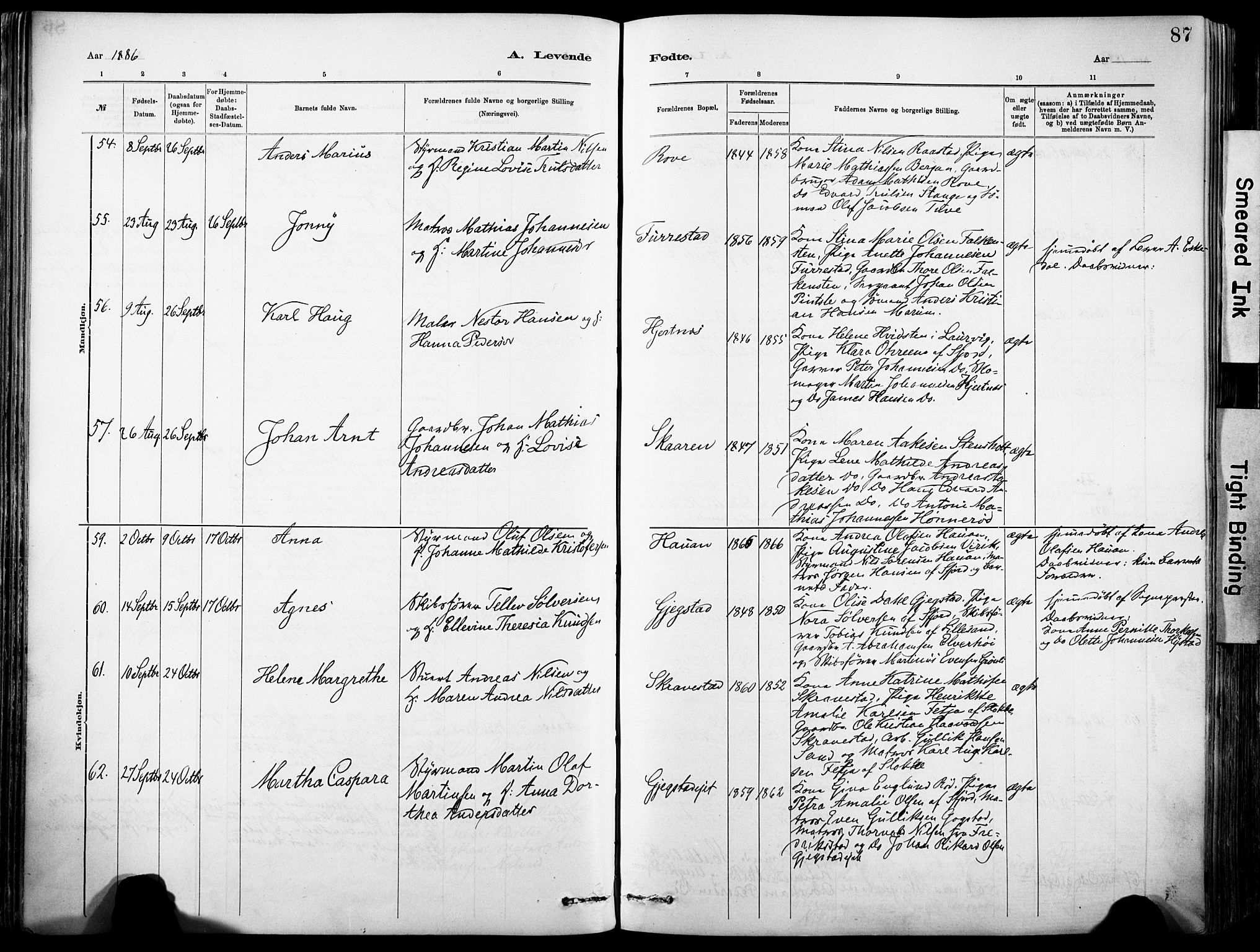 Sandar kirkebøker, SAKO/A-243/F/Fa/L0012: Parish register (official) no. 12, 1883-1895, p. 87
