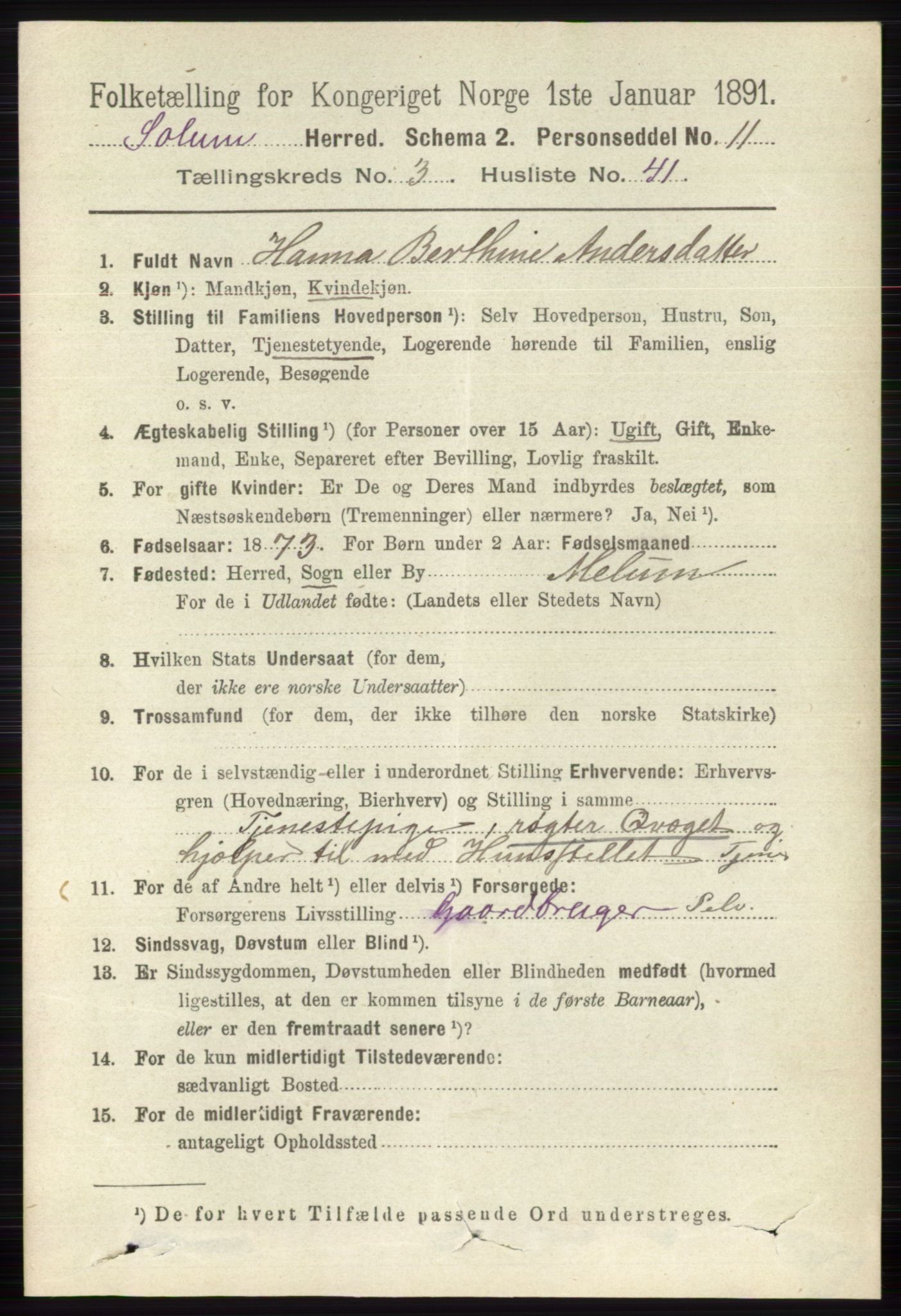 RA, 1891 census for 0818 Solum, 1891, p. 585