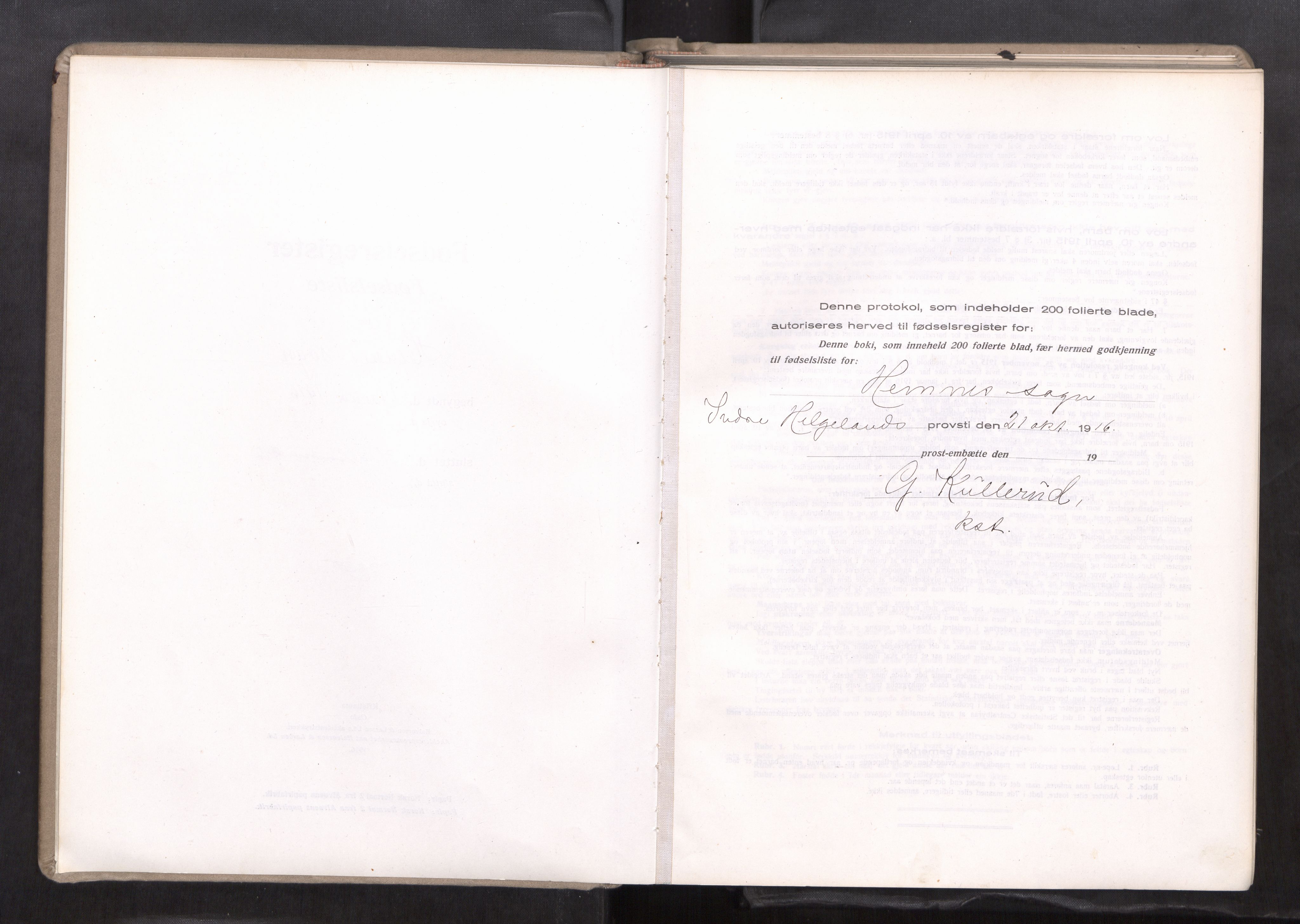 Ministerialprotokoller, klokkerbøker og fødselsregistre - Nordland, AV/SAT-A-1459/825/L0375: Birth register no. 825.II.4.1, 1916-1942