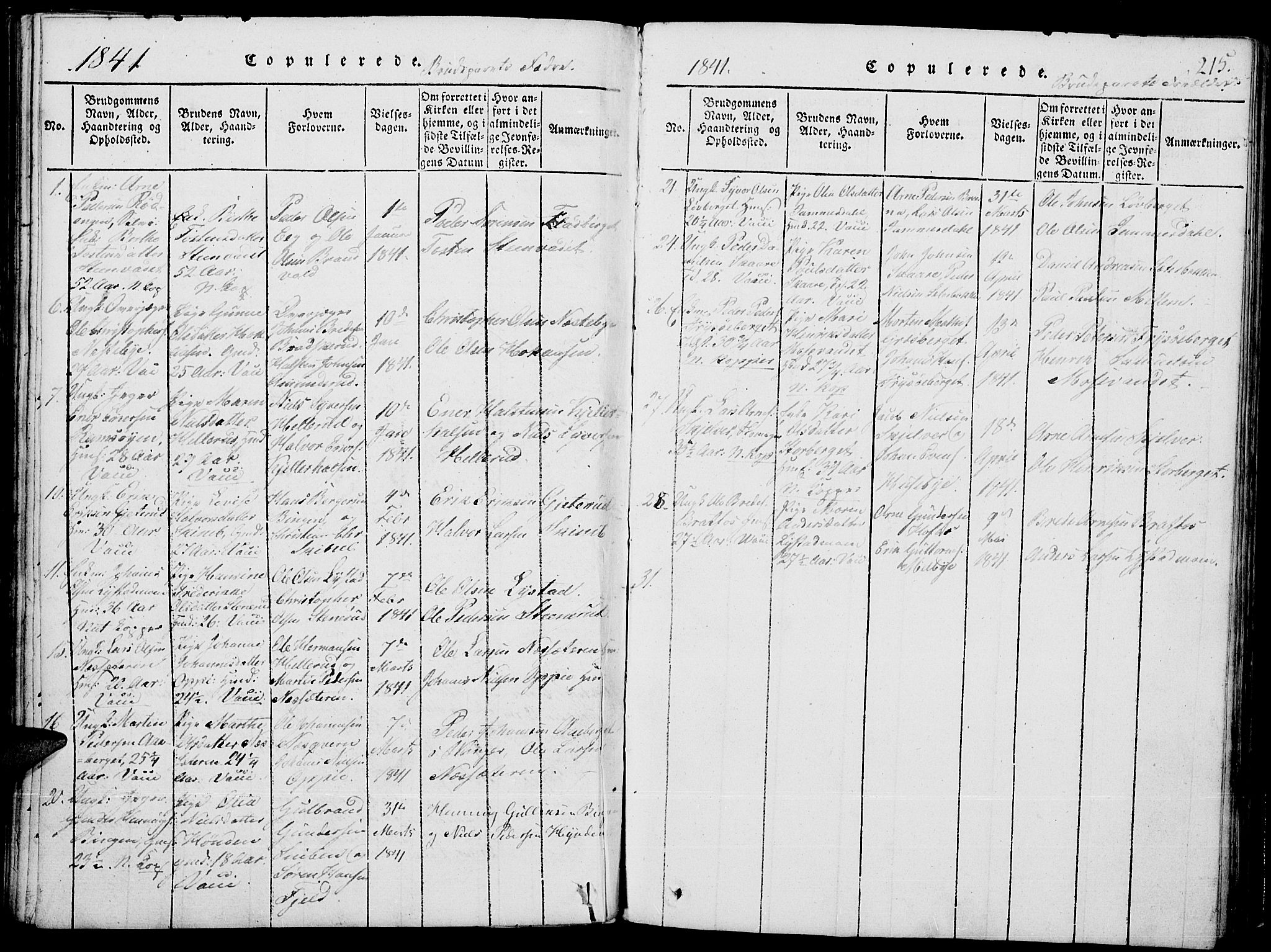 Grue prestekontor, SAH/PREST-036/H/Ha/Hab/L0001: Parish register (copy) no. 1, 1814-1841, p. 215