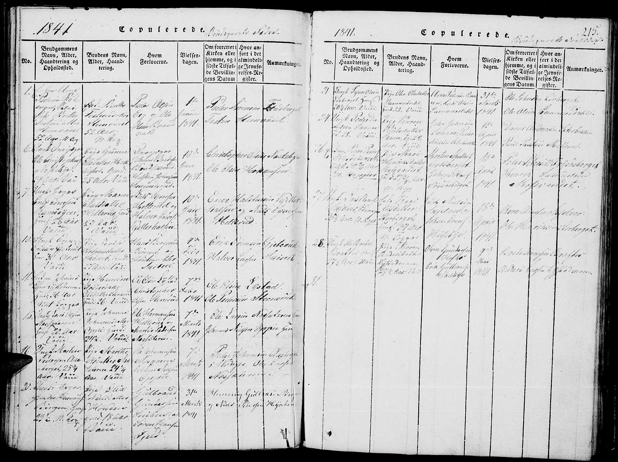 Grue prestekontor, AV/SAH-PREST-036/H/Ha/Hab/L0001: Parish register (copy) no. 1, 1814-1841, p. 215