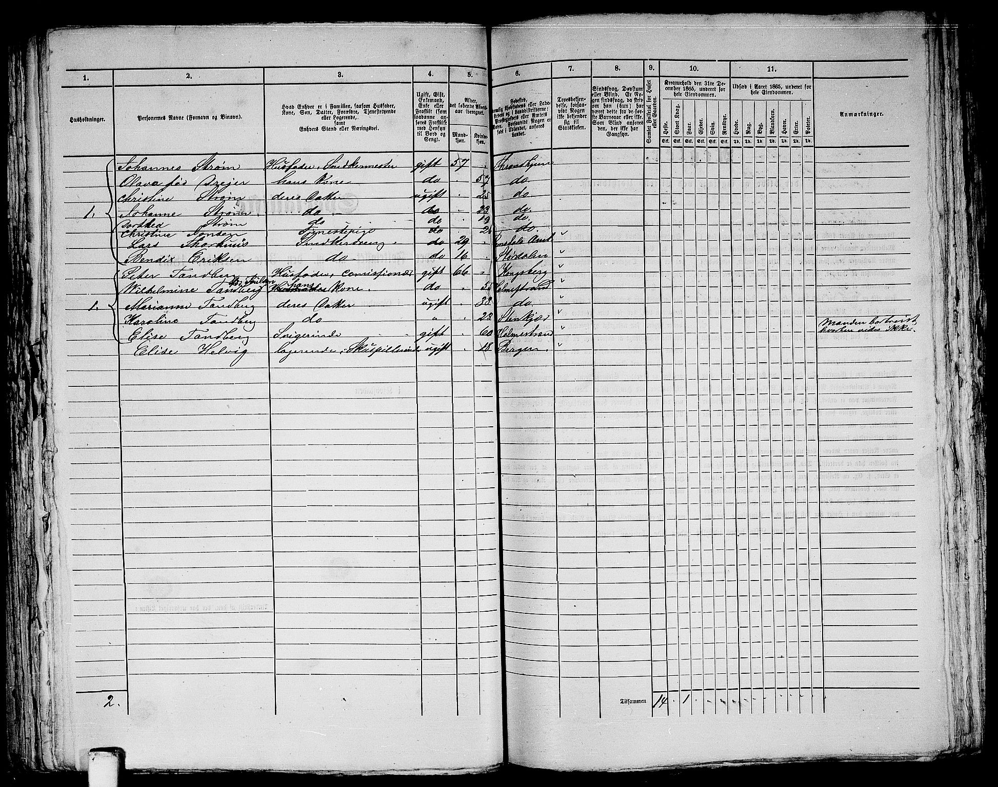 RA, 1865 census for Trondheim, 1865, p. 320