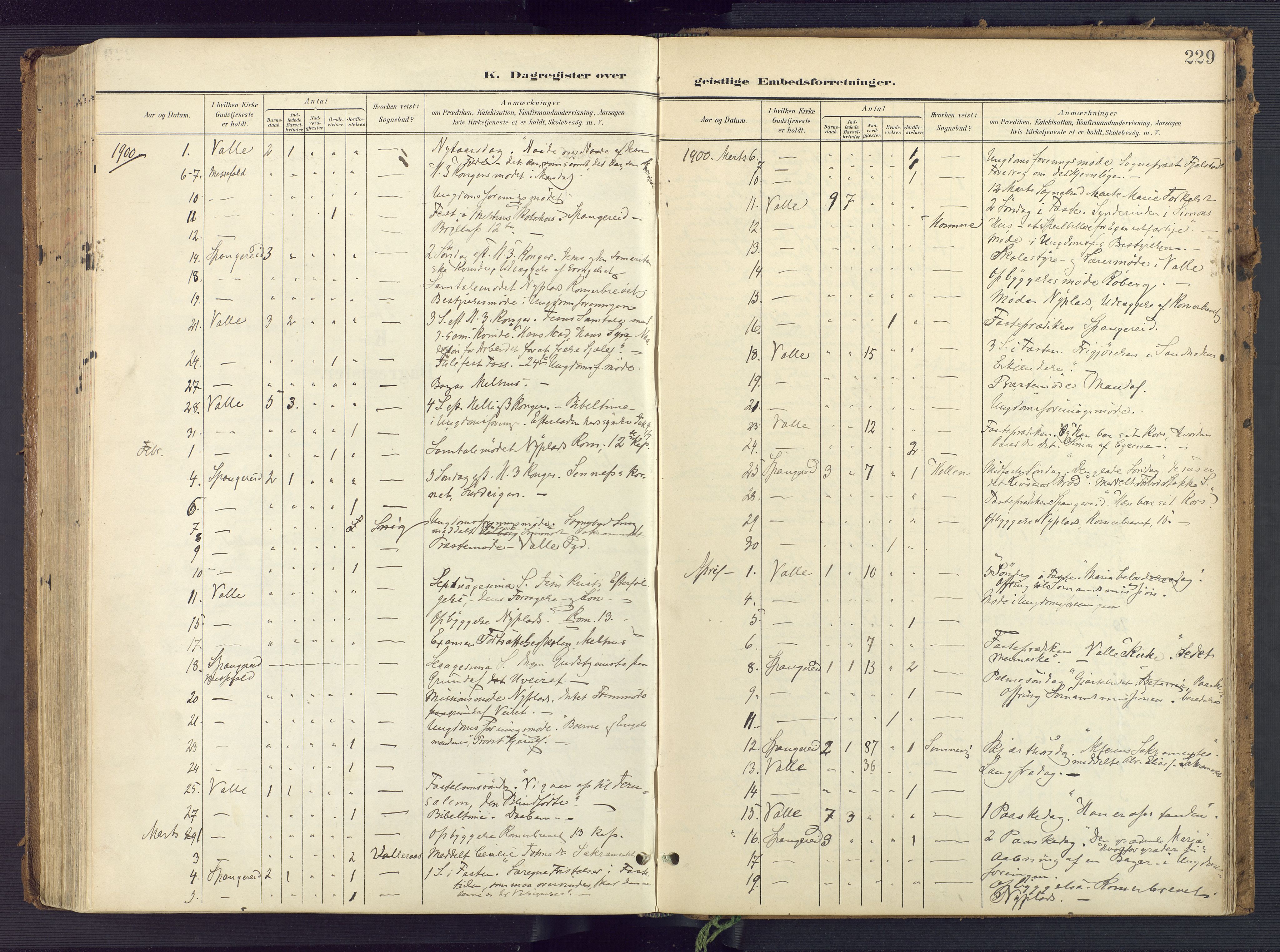 Sør-Audnedal sokneprestkontor, SAK/1111-0039/F/Fa/Faa/L0005: Parish register (official) no. A 5, 1900-1923, p. 229