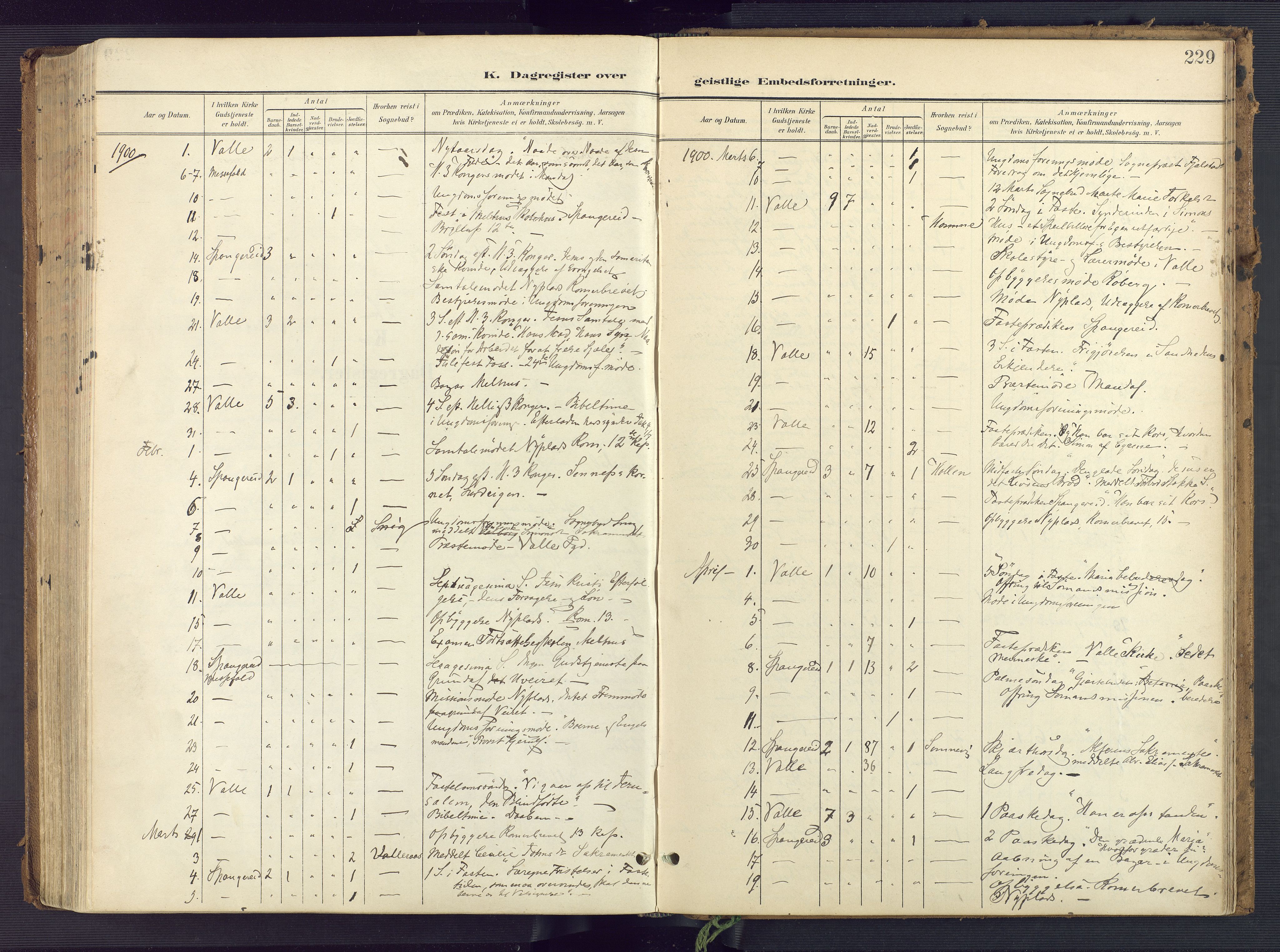 Sør-Audnedal sokneprestkontor, AV/SAK-1111-0039/F/Fa/Faa/L0005: Parish register (official) no. A 5, 1900-1923, p. 229