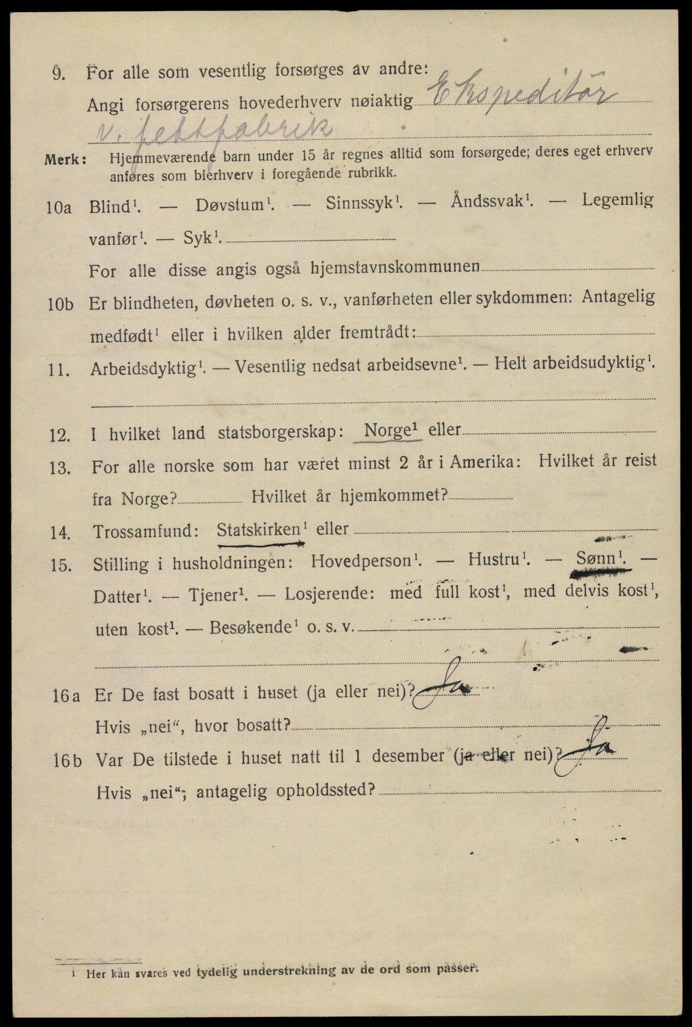 SAO, 1920 census for Fredrikstad, 1920, p. 11456