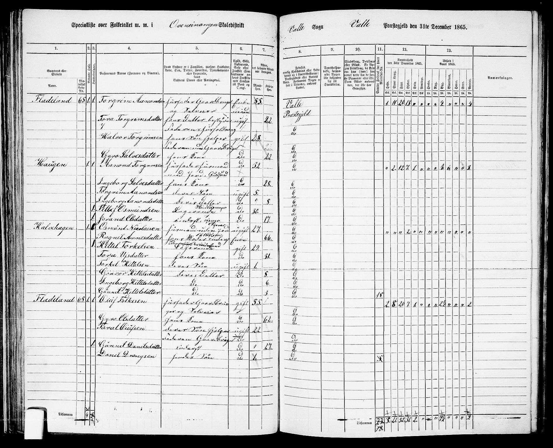 RA, 1865 census for Valle, 1865, p. 62