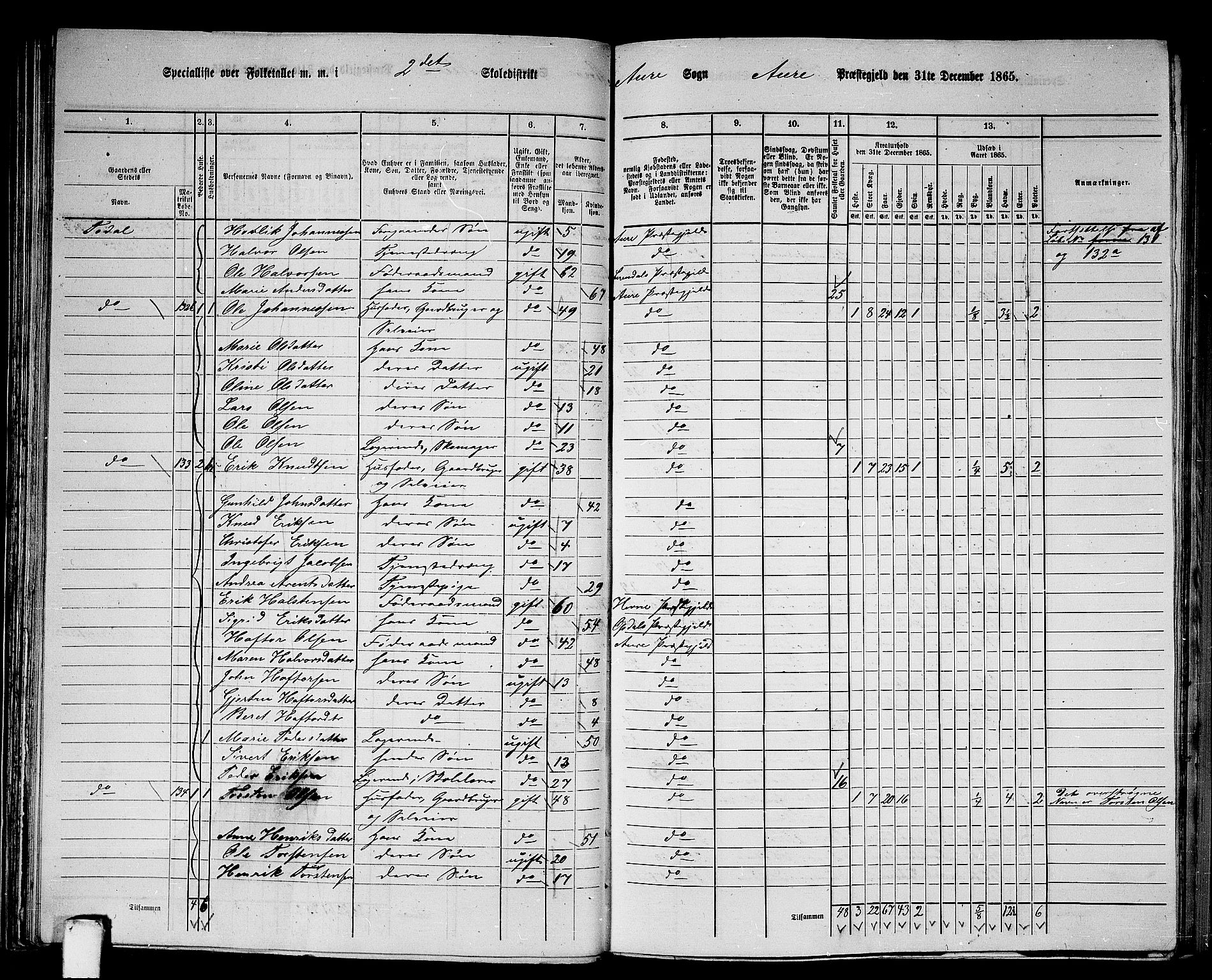 RA, 1865 census for Aure, 1865, p. 45