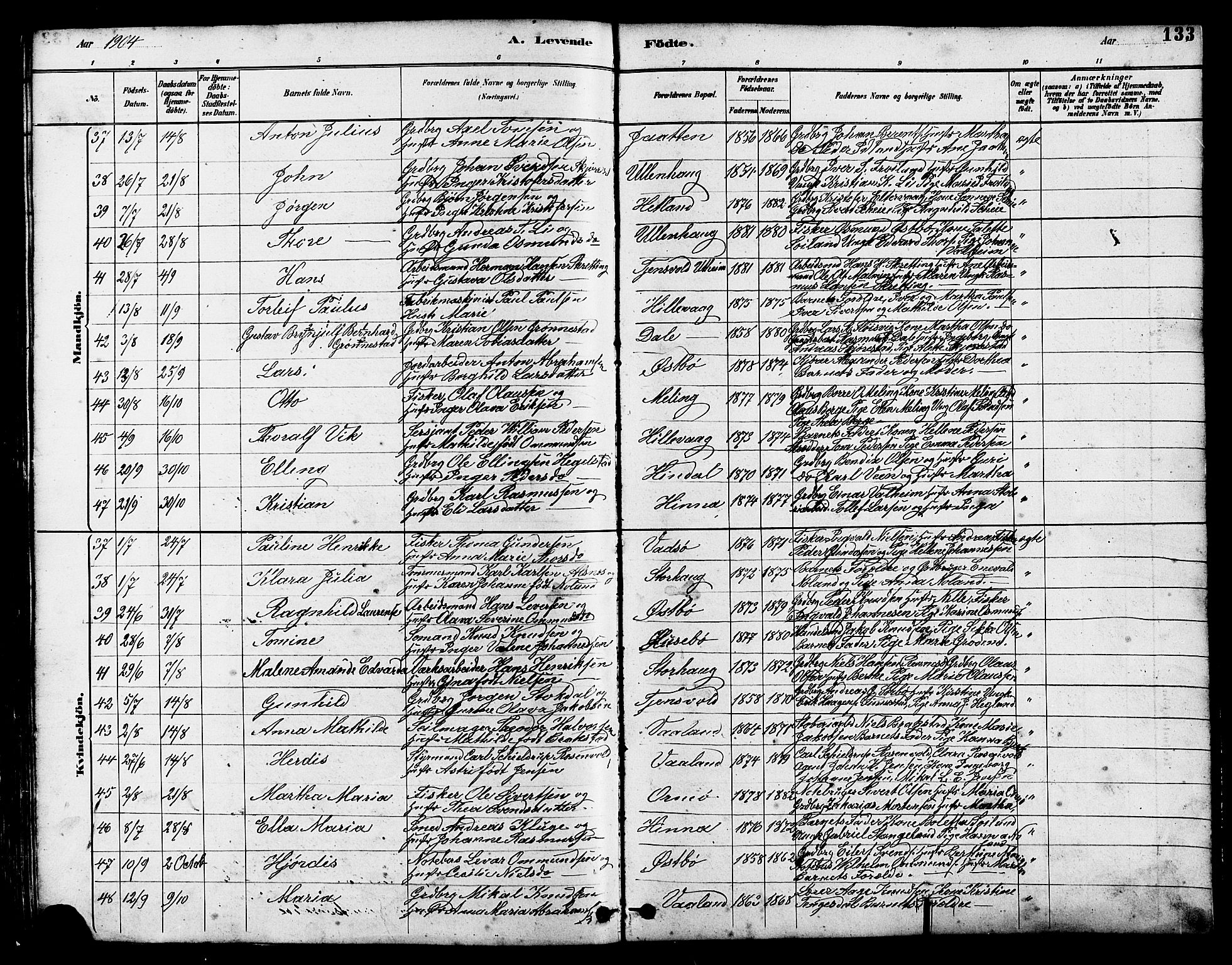 Hetland sokneprestkontor, SAST/A-101826/30/30BB/L0005: Parish register (copy) no. B 5, 1878-1910, p. 133