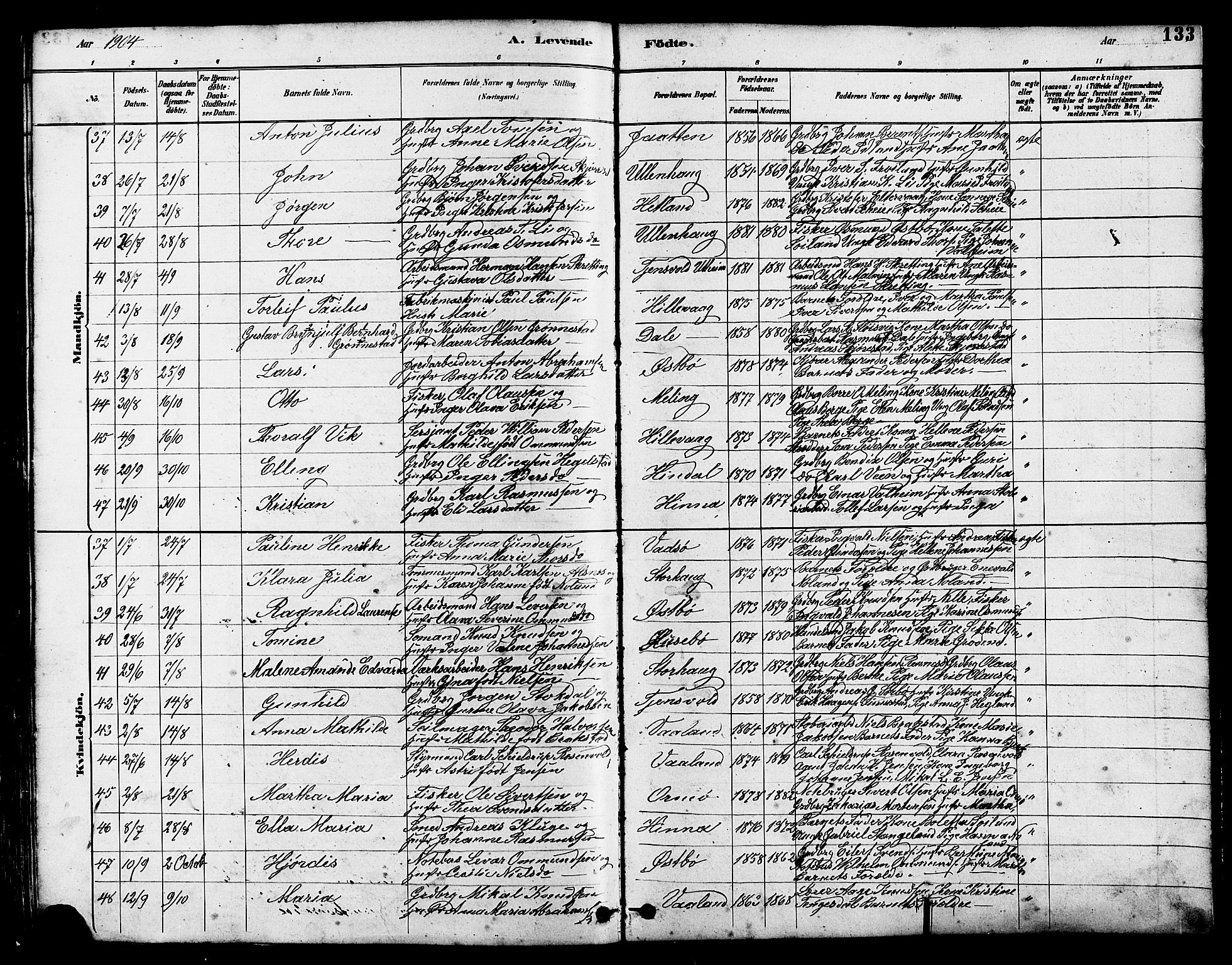 Hetland sokneprestkontor, AV/SAST-A-101826/30/30BB/L0005: Parish register (copy) no. B 5, 1878-1910, p. 133