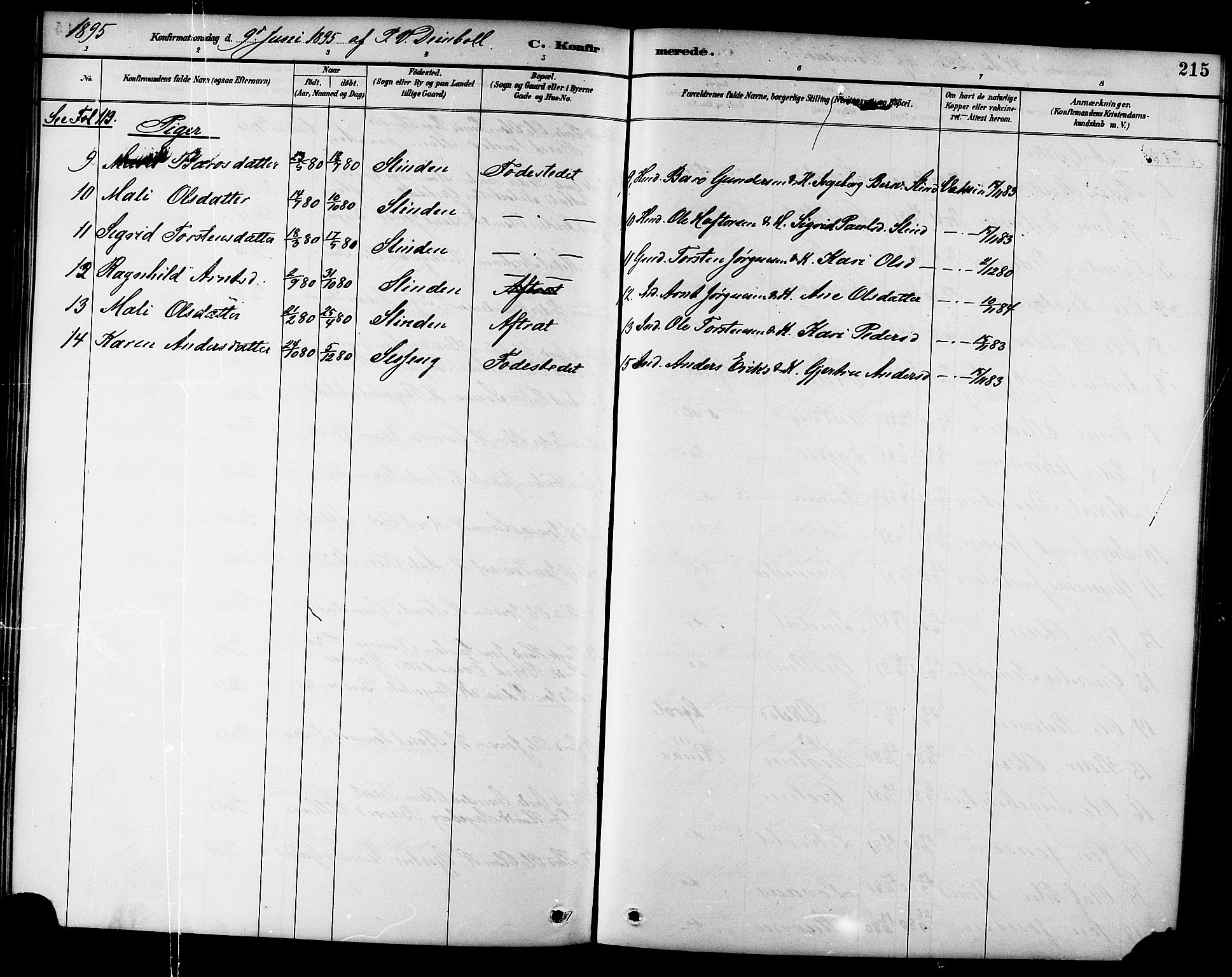 Ministerialprotokoller, klokkerbøker og fødselsregistre - Sør-Trøndelag, AV/SAT-A-1456/695/L1157: Parish register (copy) no. 695C08, 1889-1913, p. 215
