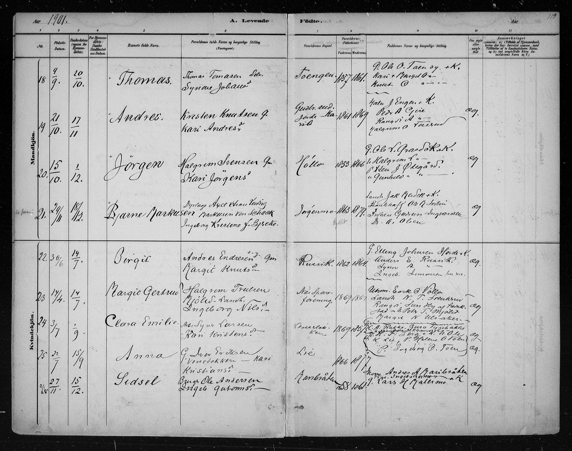 Nes kirkebøker, AV/SAKO-A-236/F/Fa/L0011: Parish register (official) no. 11, 1881-1912, p. 119