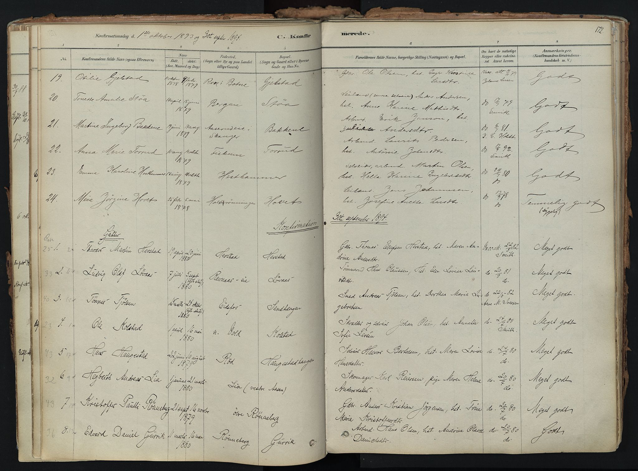 Hof kirkebøker, SAKO/A-64/F/Fa/L0007: Parish register (official) no. I 7, 1878-1940, p. 172