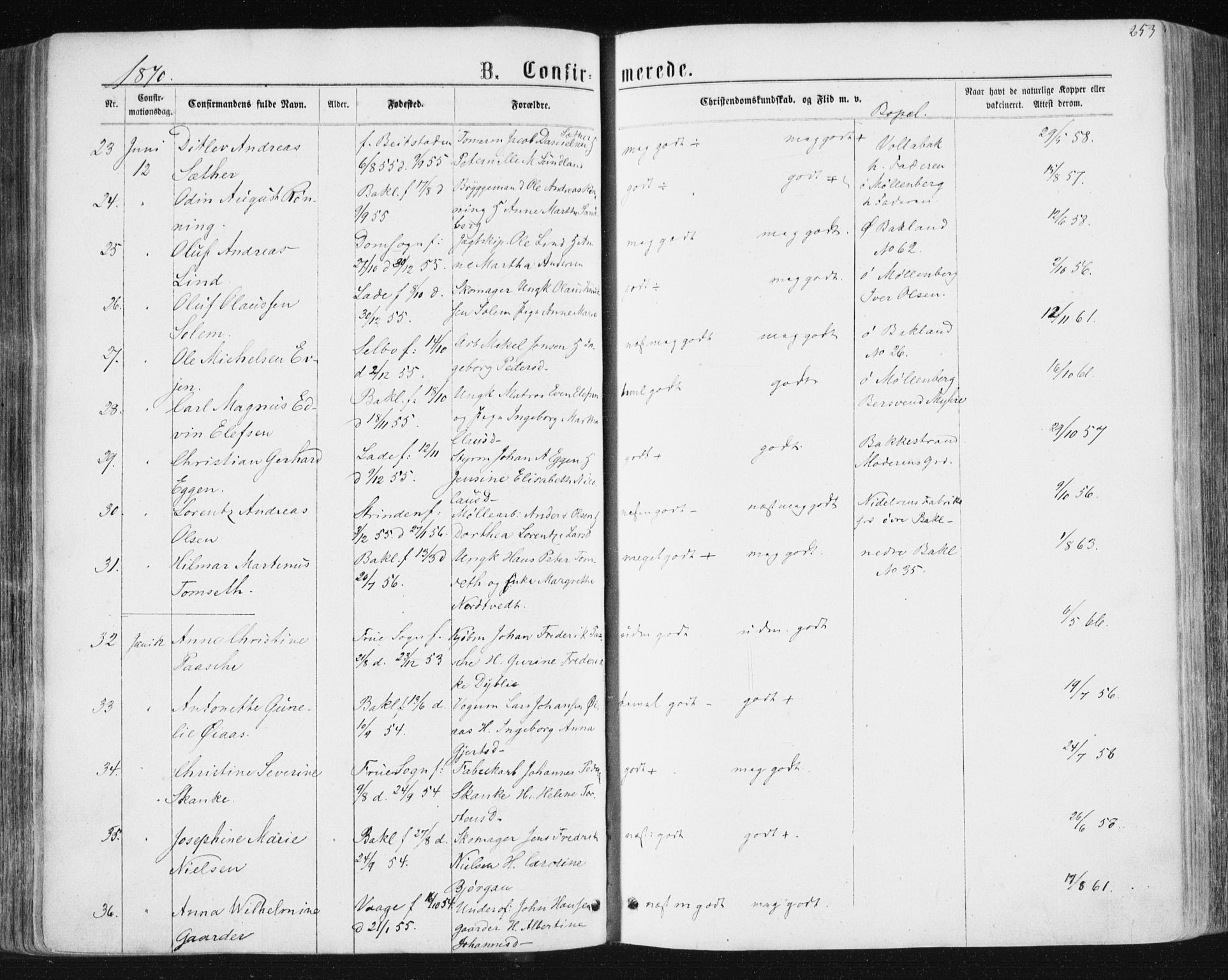 Ministerialprotokoller, klokkerbøker og fødselsregistre - Sør-Trøndelag, AV/SAT-A-1456/604/L0186: Parish register (official) no. 604A07, 1866-1877, p. 253