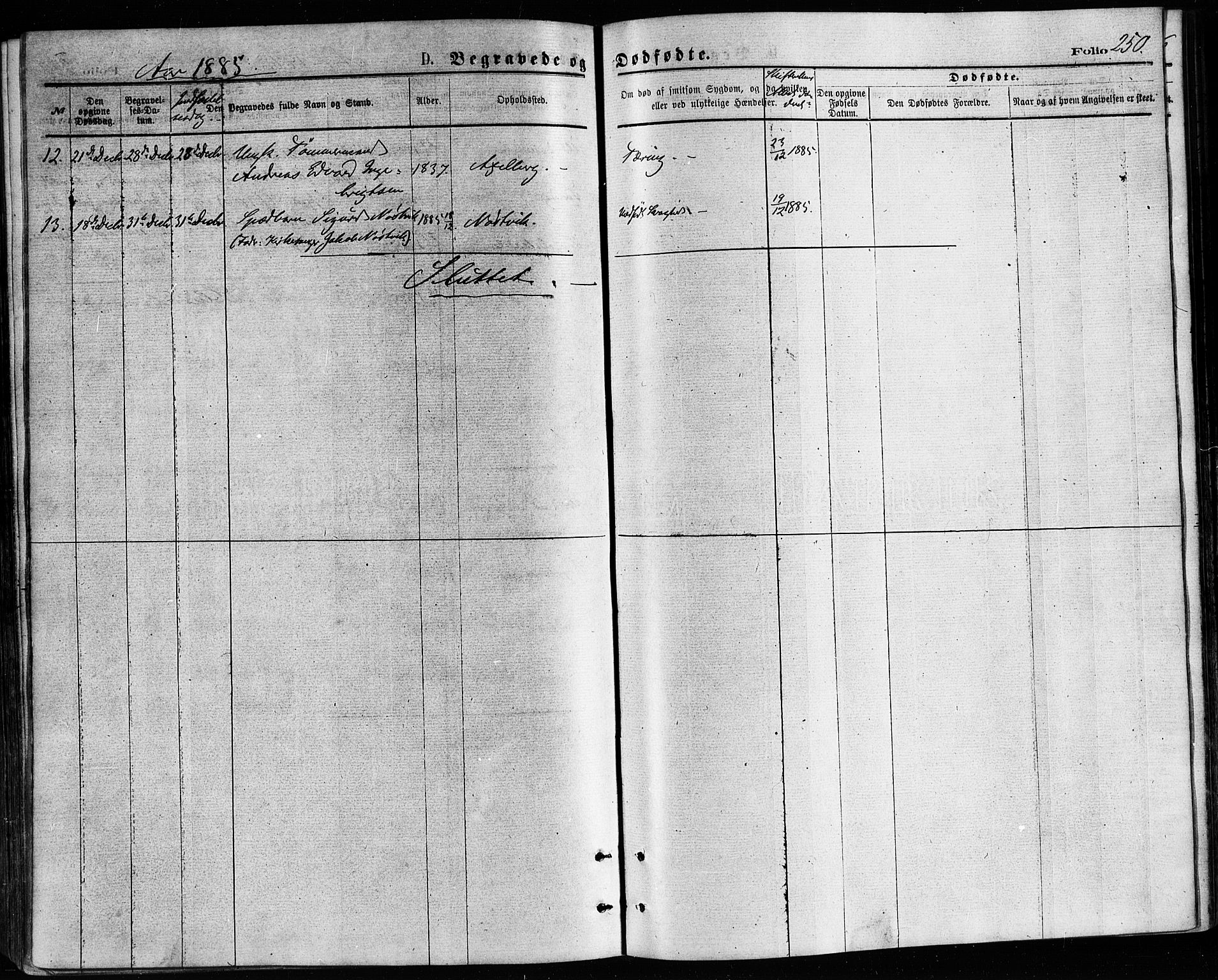 Ministerialprotokoller, klokkerbøker og fødselsregistre - Nordland, AV/SAT-A-1459/814/L0225: Parish register (official) no. 814A06, 1875-1885, p. 250