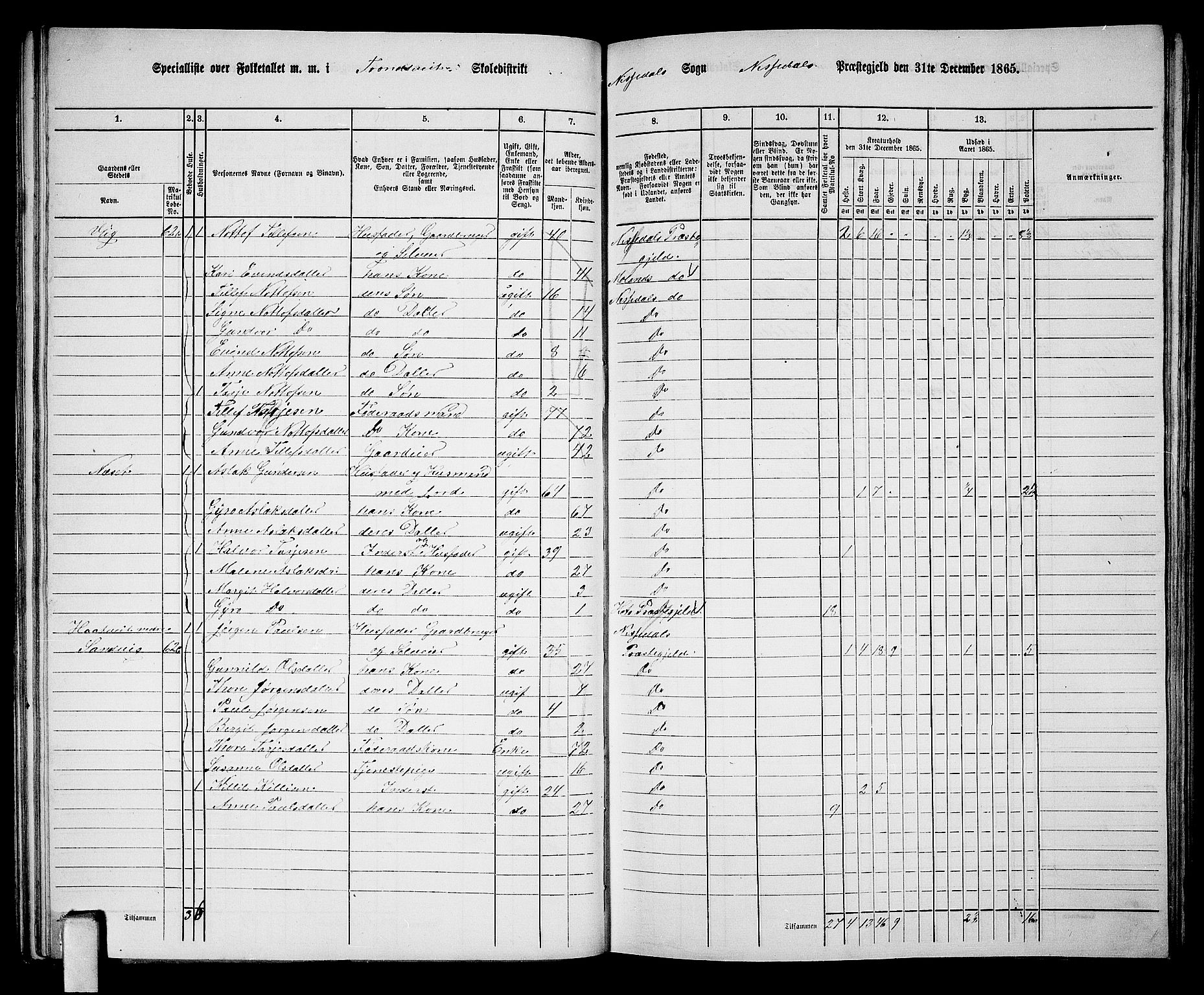 RA, 1865 census for Nissedal, 1865, p. 56