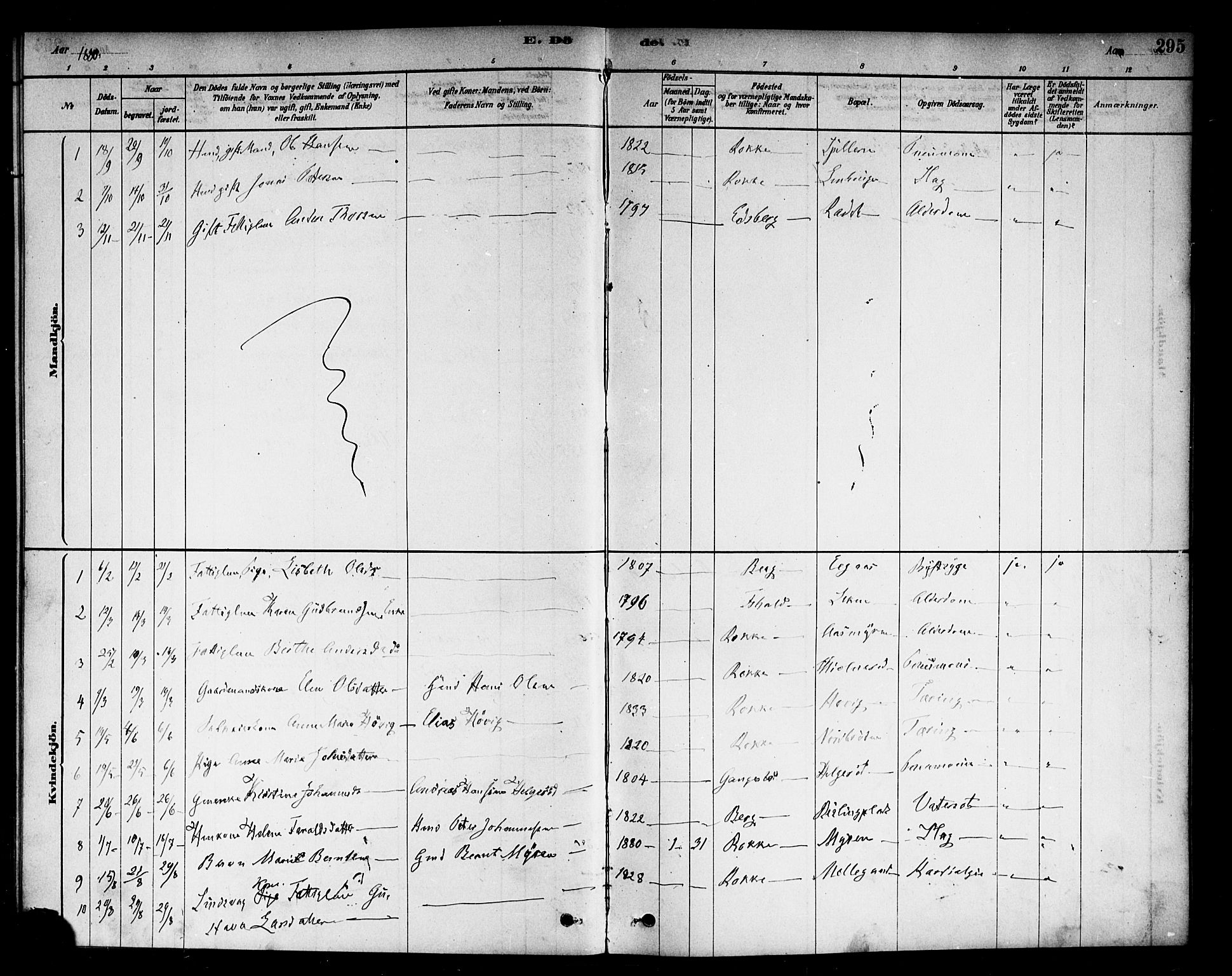 Berg prestekontor Kirkebøker, AV/SAO-A-10902/F/Fc/L0001: Parish register (official) no. III 1, 1878-1887, p. 295