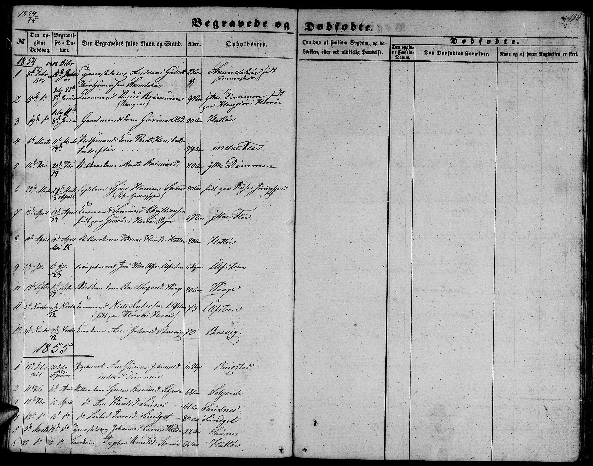 Ministerialprotokoller, klokkerbøker og fødselsregistre - Møre og Romsdal, SAT/A-1454/509/L0111: Parish register (copy) no. 509C01, 1854-1882, p. 134
