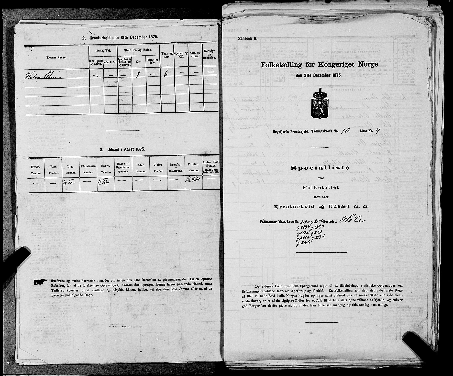 SAST, 1875 census for 1128P Høgsfjord, 1875, p. 780