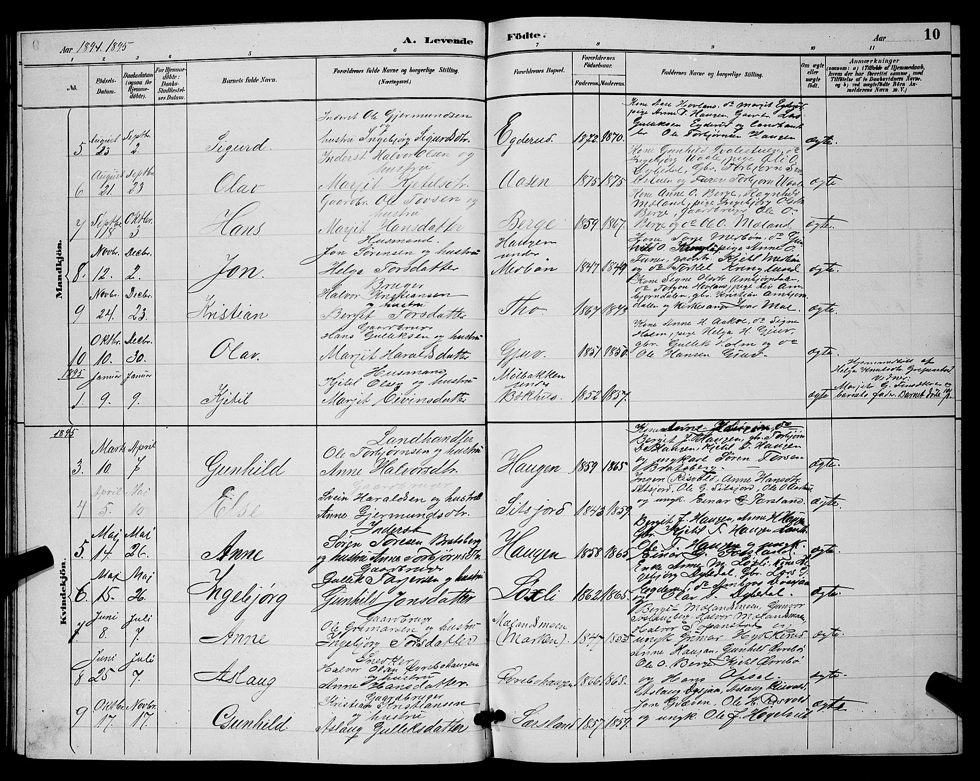 Hjartdal kirkebøker, SAKO/A-270/G/Ga/L0003: Parish register (copy) no. I 3, 1889-1896, p. 10