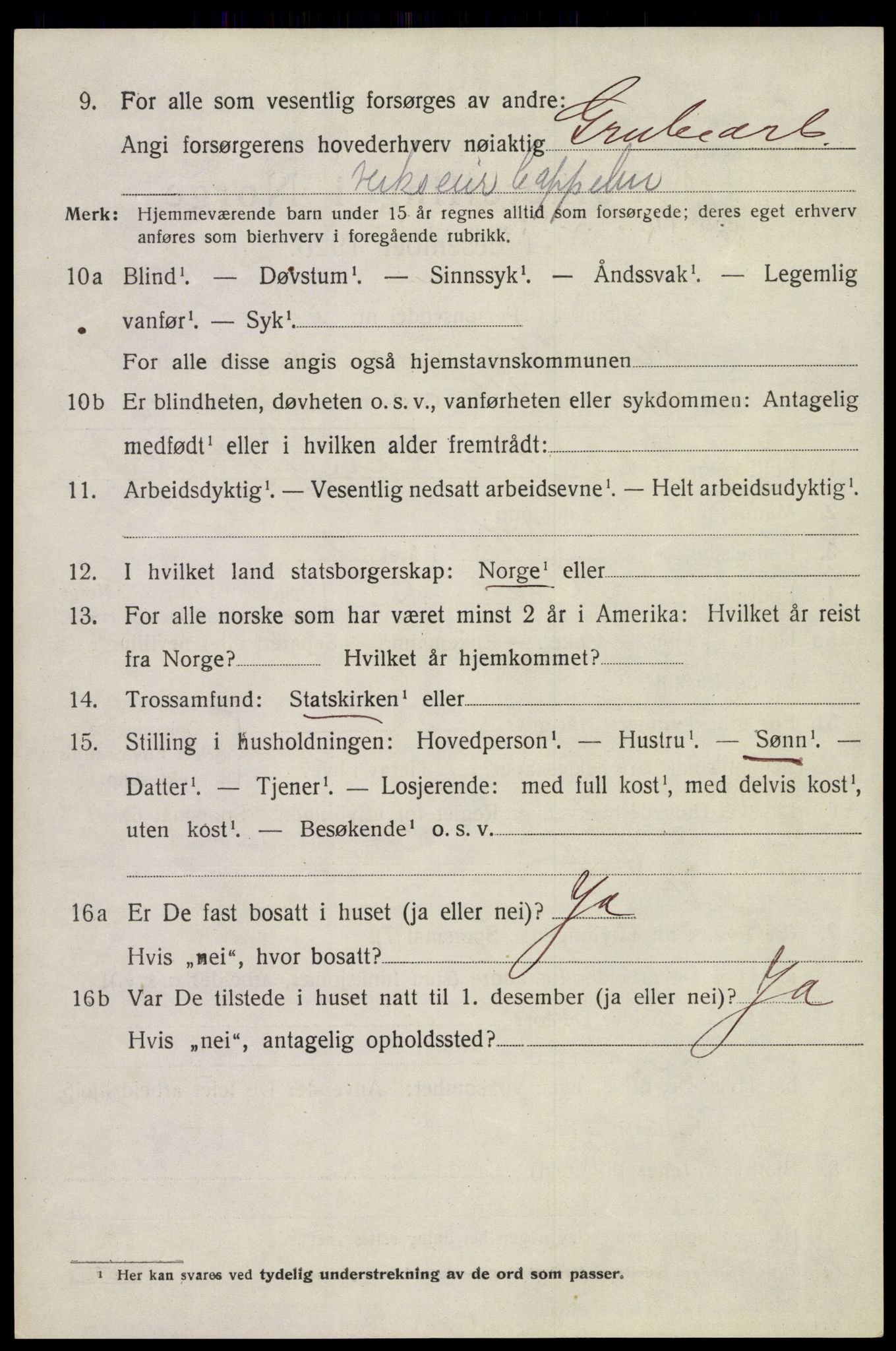 SAKO, 1920 census for Holla, 1920, p. 6012