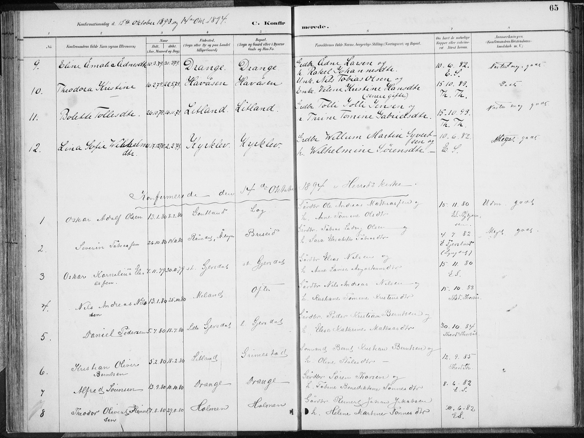 Herad sokneprestkontor, SAK/1111-0018/F/Fa/Faa/L0006: Parish register (official) no. A 6, 1887-1907, p. 65