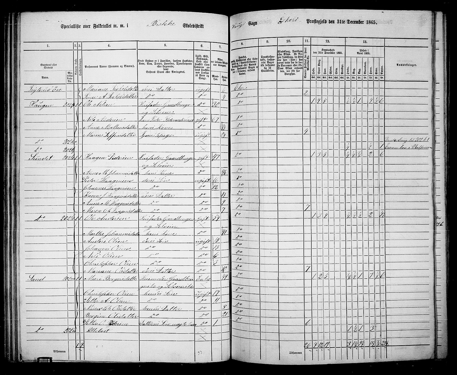 RA, 1865 census for Eiker, 1865, p. 77