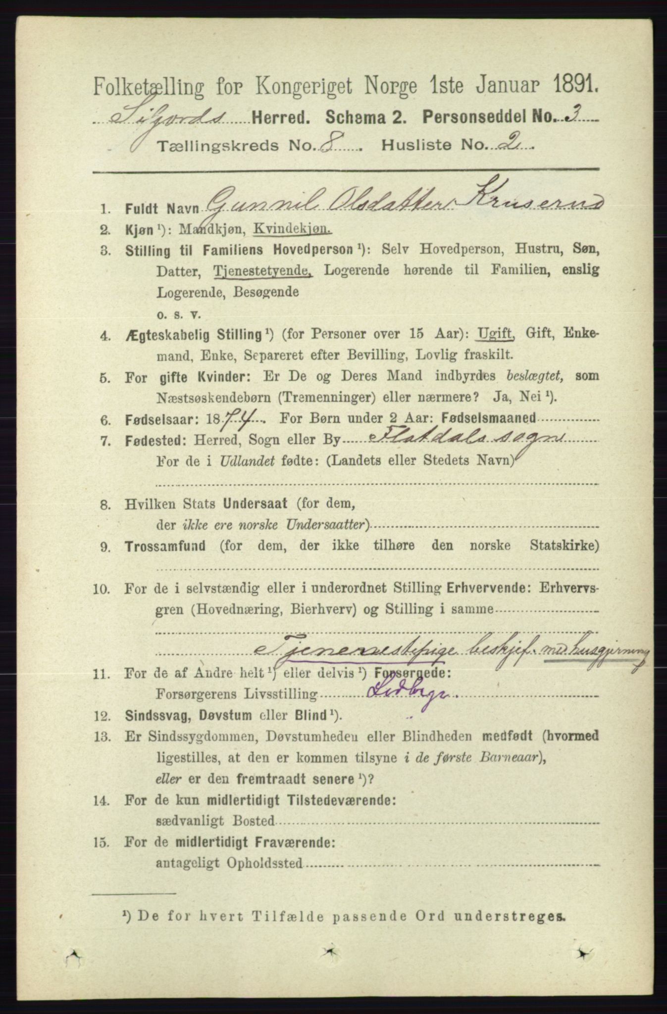 RA, 1891 census for 0828 Seljord, 1891, p. 2882