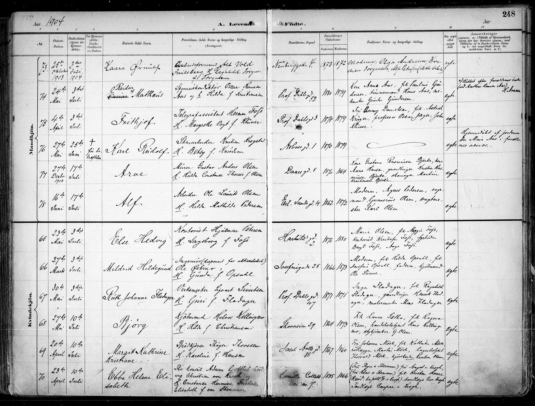 Uranienborg prestekontor Kirkebøker, AV/SAO-A-10877/F/Fa/L0005: Parish register (official) no. 5, 1895-1907, p. 248