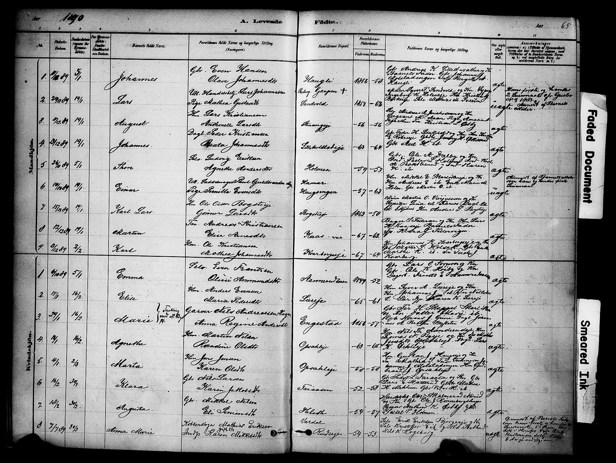 Ringsaker prestekontor, AV/SAH-PREST-014/K/Ka/L0014: Parish register (official) no. 14, 1879-1890, p. 65