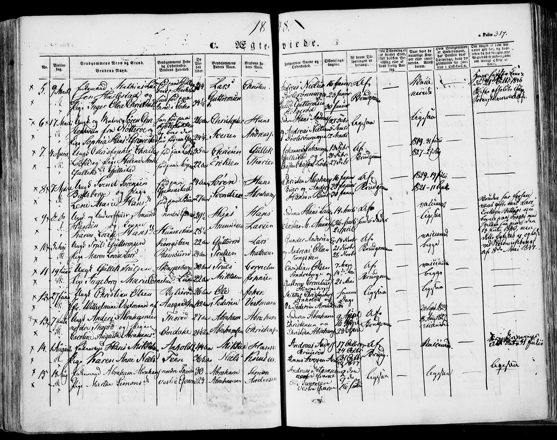 Stokke kirkebøker, AV/SAKO-A-320/F/Fa/L0007: Parish register (official) no. I 7, 1844-1857, p. 317