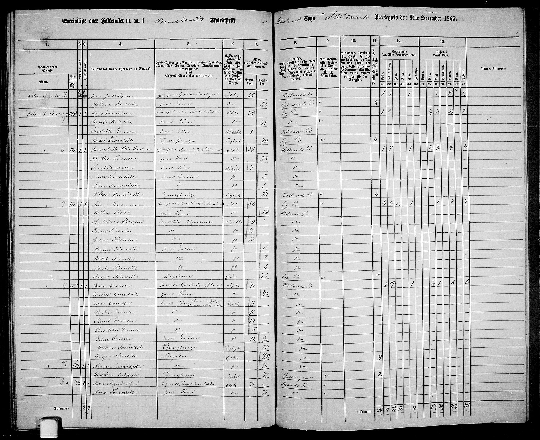 RA, 1865 census for Høyland, 1865, p. 133