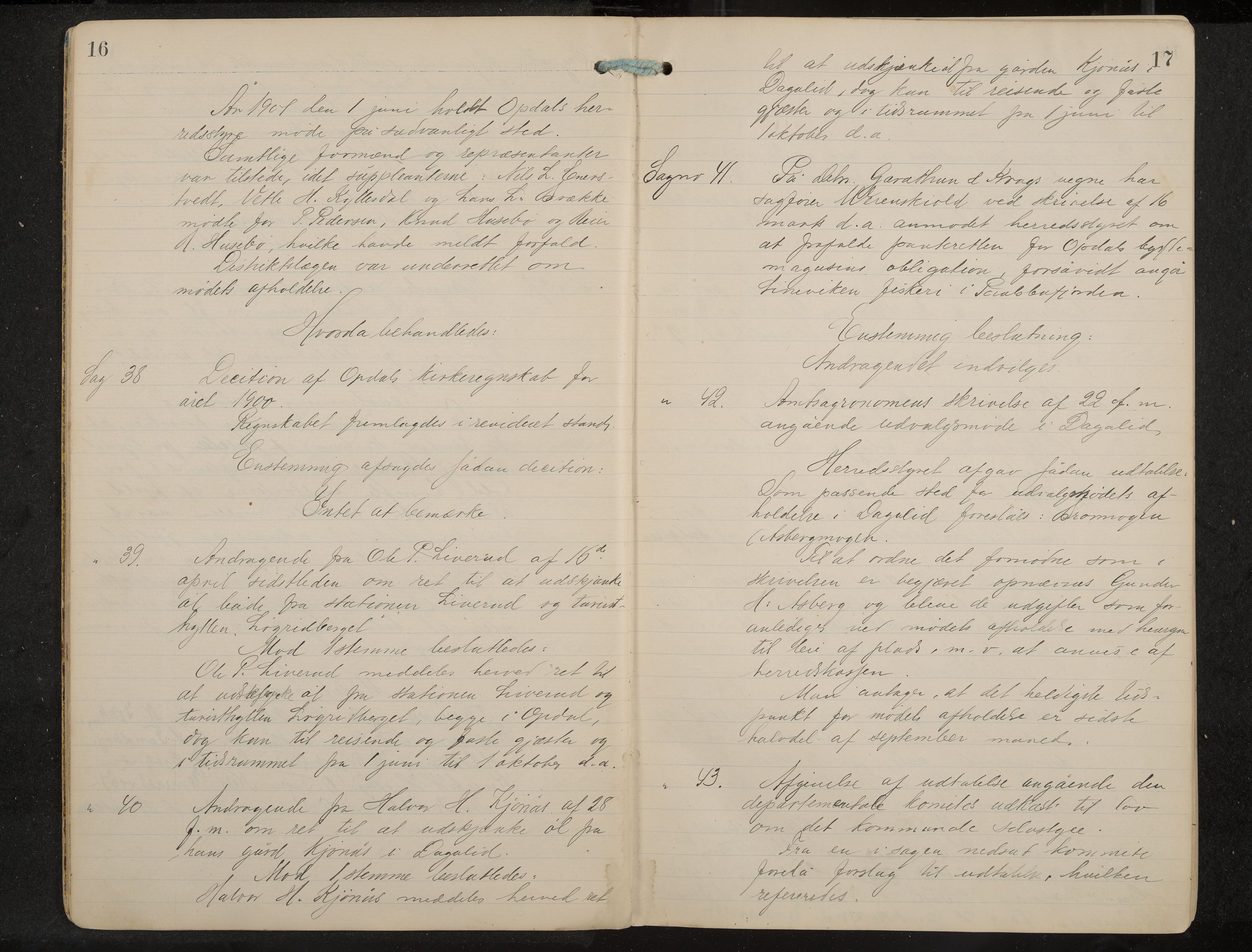 Uvdal formannskap og sentraladministrasjon, IKAK/0634021/A/Aa/L0001: Møtebok, 1901-1909, p. 16-17