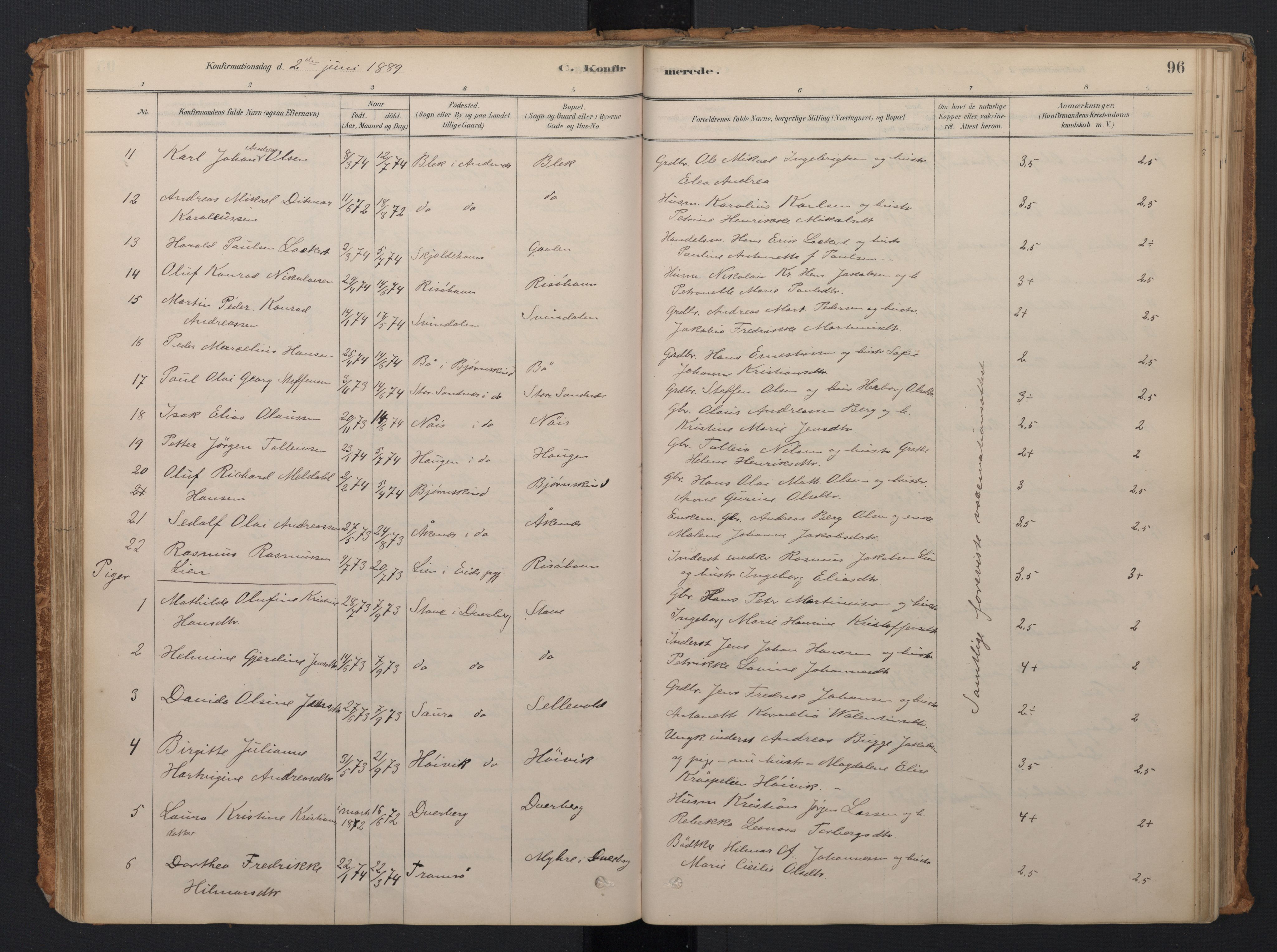 Ministerialprotokoller, klokkerbøker og fødselsregistre - Nordland, AV/SAT-A-1459/897/L1399: Parish register (official) no. 897A06, 1881-1896, p. 96