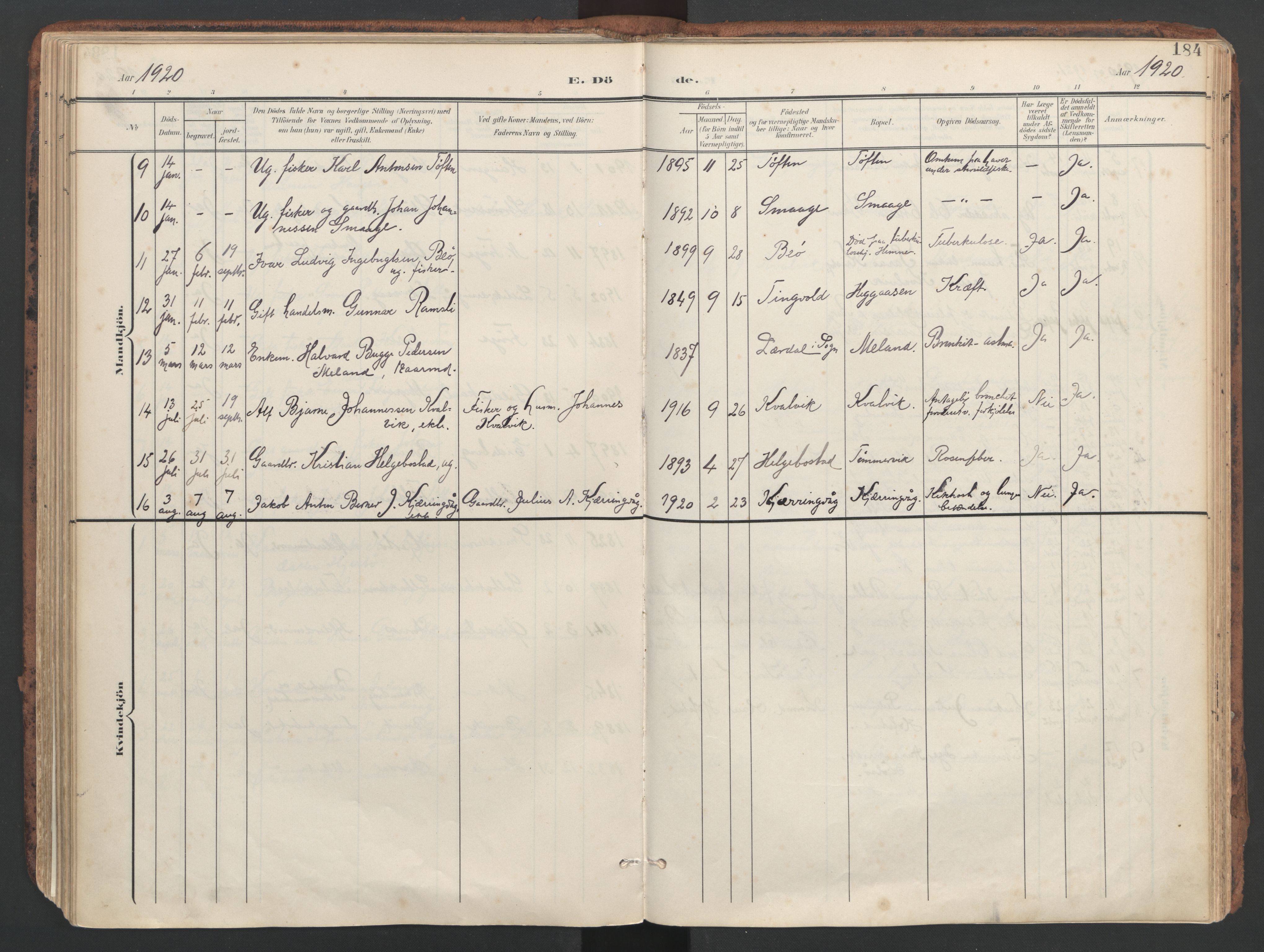 Ministerialprotokoller, klokkerbøker og fødselsregistre - Sør-Trøndelag, SAT/A-1456/634/L0537: Parish register (official) no. 634A13, 1896-1922, p. 184