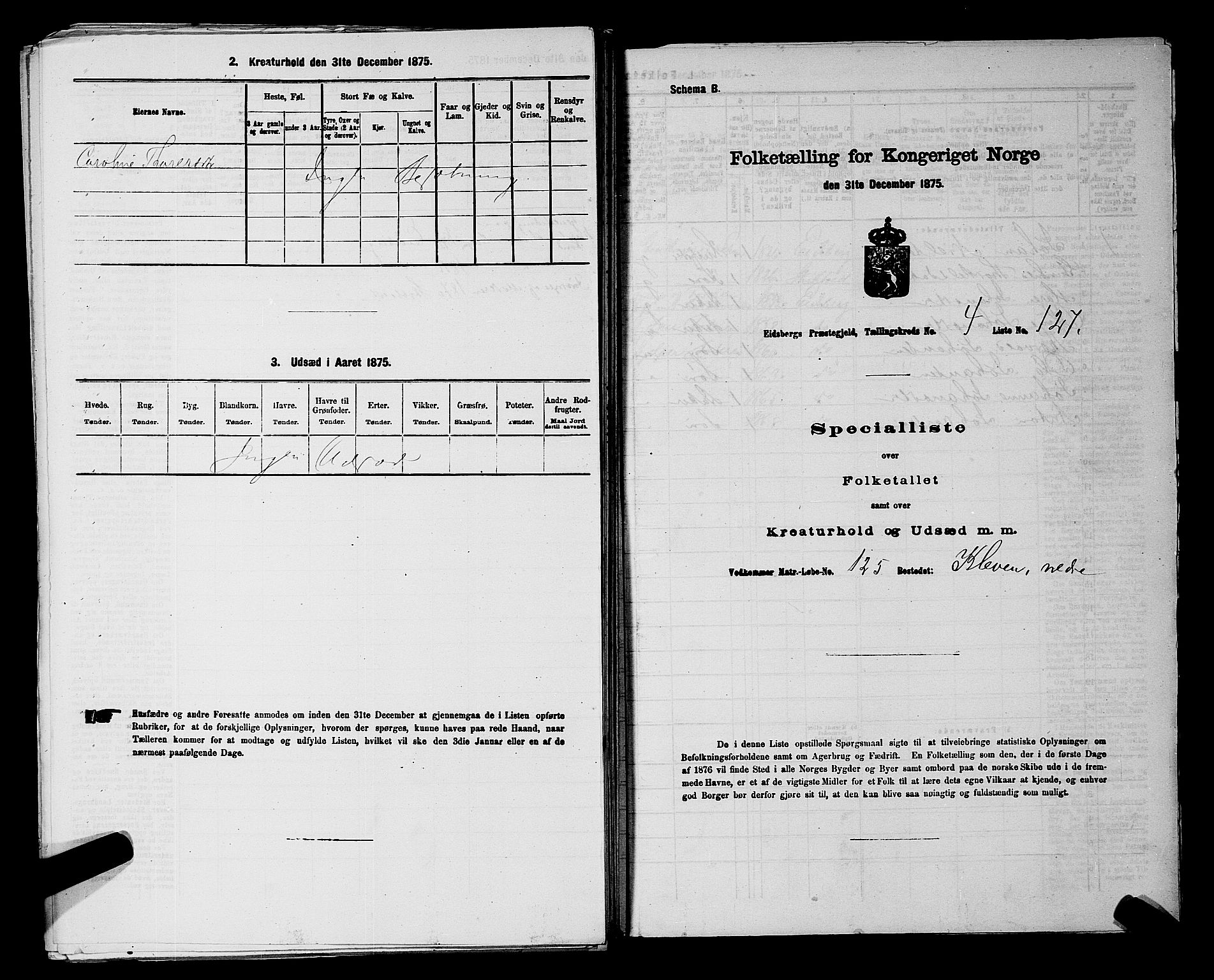 RA, 1875 census for 0125P Eidsberg, 1875, p. 891