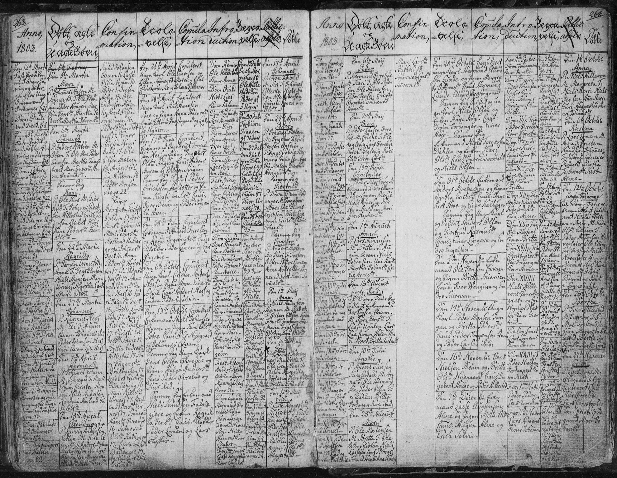 Hafslo sokneprestembete, AV/SAB-A-80301/H/Haa/Haaa/L0002: Parish register (official) no. A 2, 1755-1806, p. 263-264