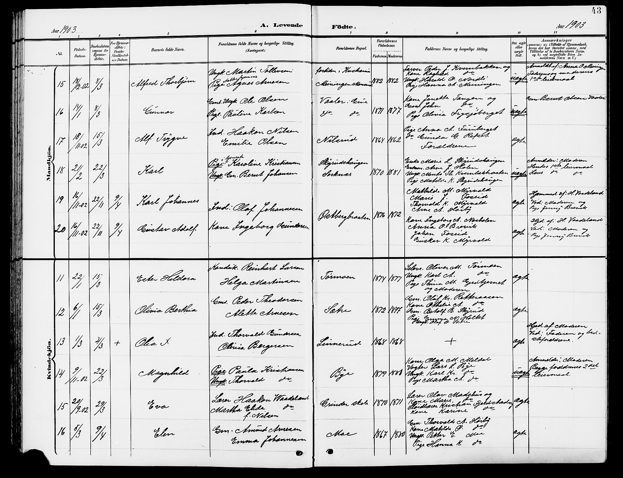 Grue prestekontor, AV/SAH-PREST-036/H/Ha/Hab/L0005: Parish register (copy) no. 5, 1900-1909, p. 43