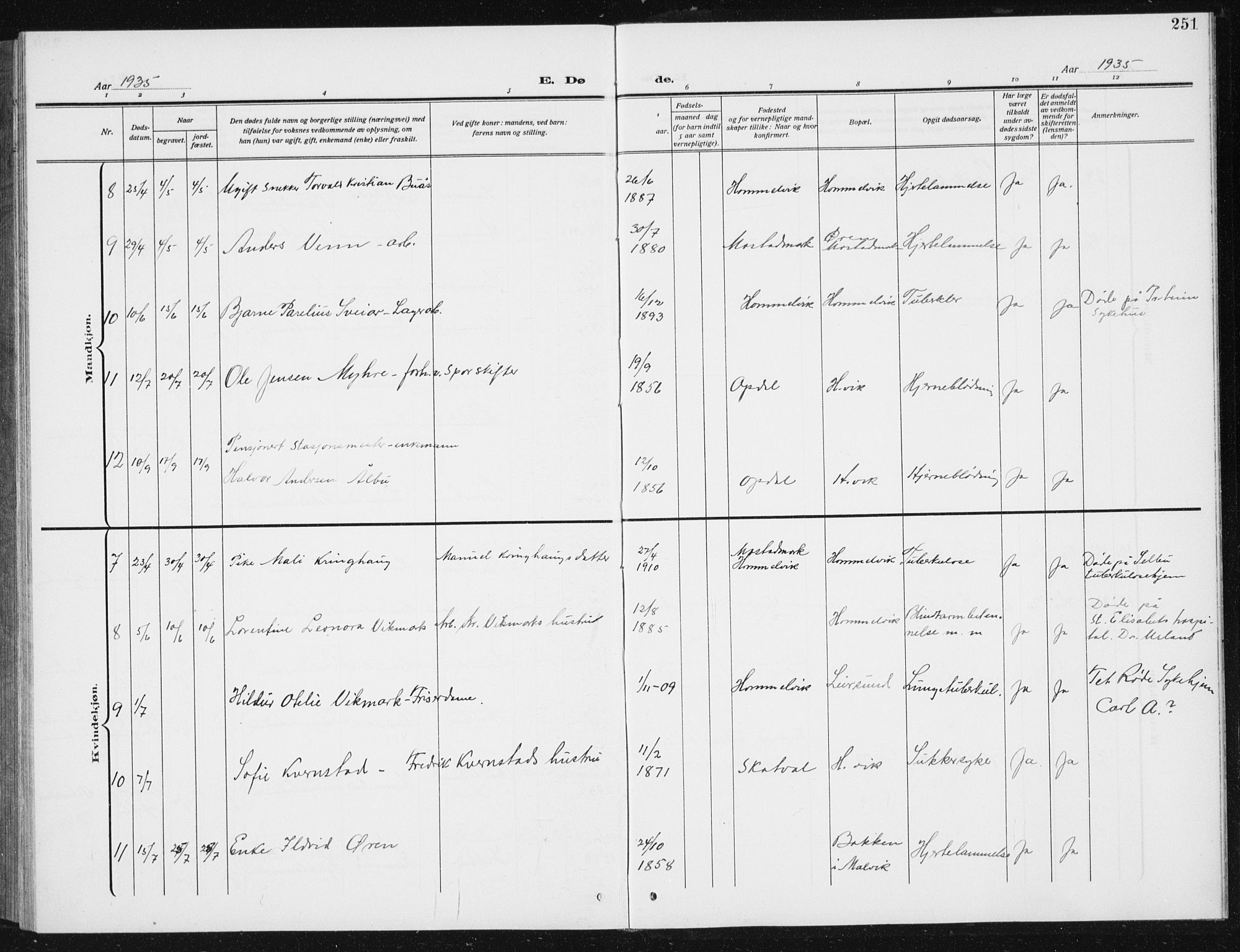 Ministerialprotokoller, klokkerbøker og fødselsregistre - Sør-Trøndelag, SAT/A-1456/617/L0431: Parish register (copy) no. 617C02, 1910-1936, p. 251