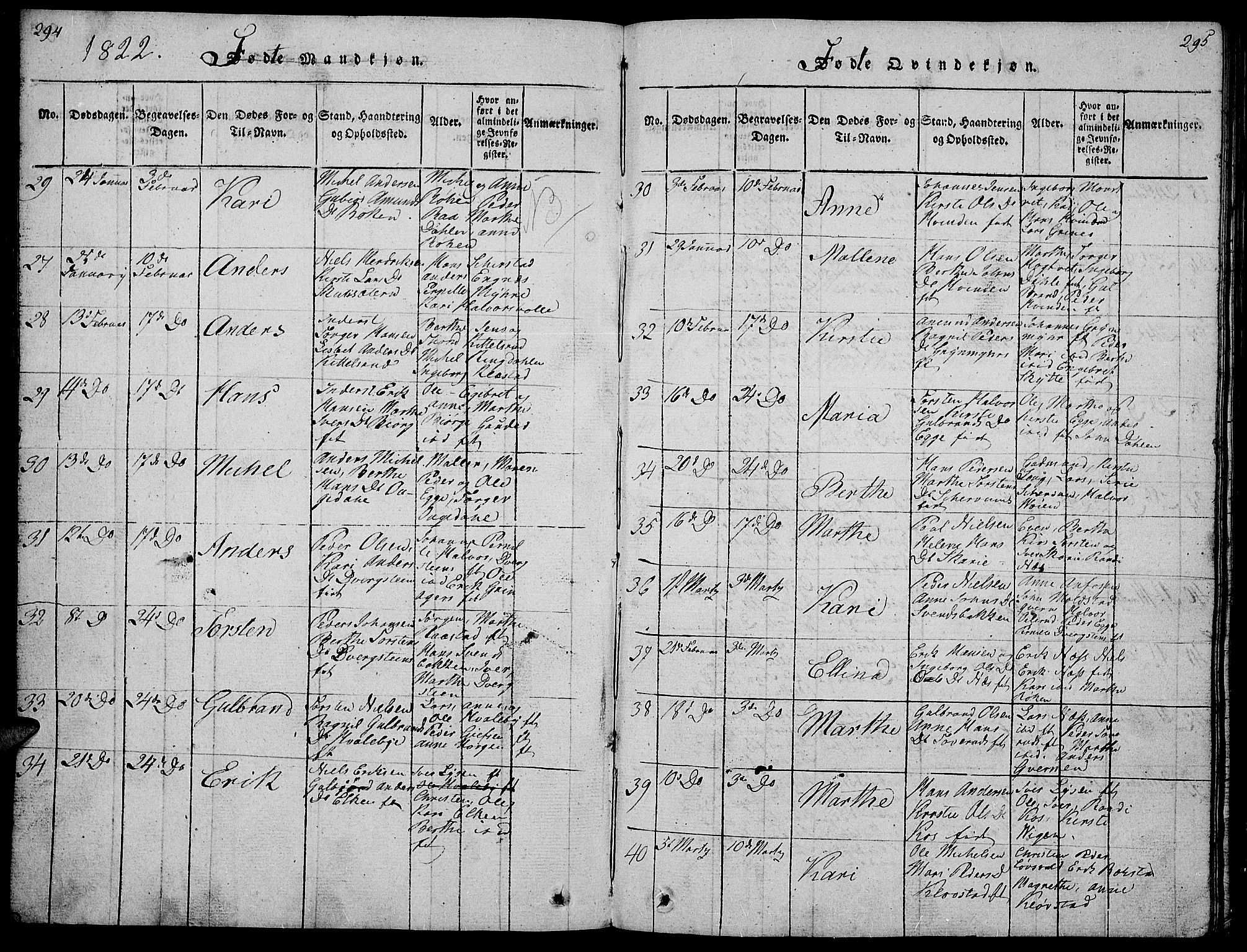 Gran prestekontor, AV/SAH-PREST-112/H/Ha/Hab/L0001: Parish register (copy) no. 1, 1815-1824, p. 294-295