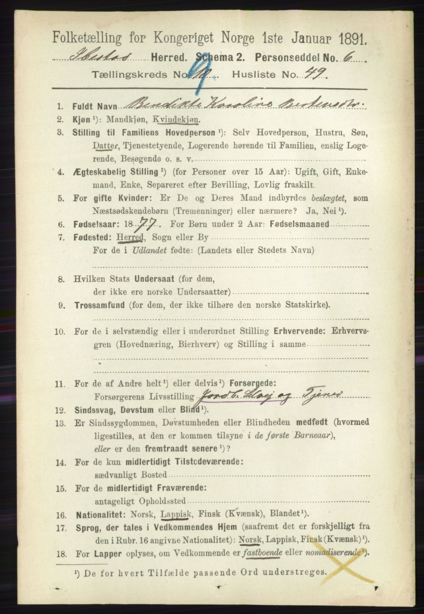 RA, 1891 census for 1917 Ibestad, 1891, p. 6282