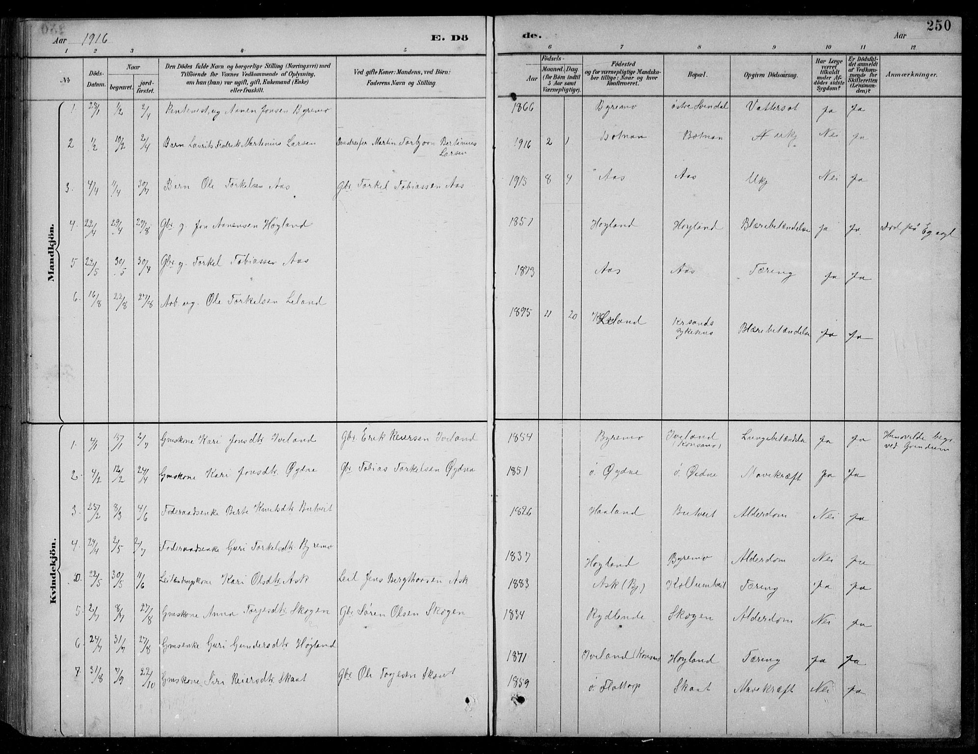 Bjelland sokneprestkontor, SAK/1111-0005/F/Fb/Fbc/L0003: Parish register (copy) no. B 3, 1887-1924, p. 250