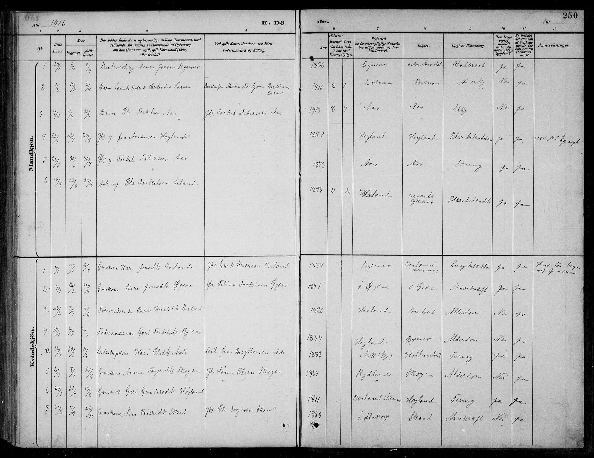 Bjelland sokneprestkontor, AV/SAK-1111-0005/F/Fb/Fbc/L0003: Parish register (copy) no. B 3, 1887-1924, p. 250