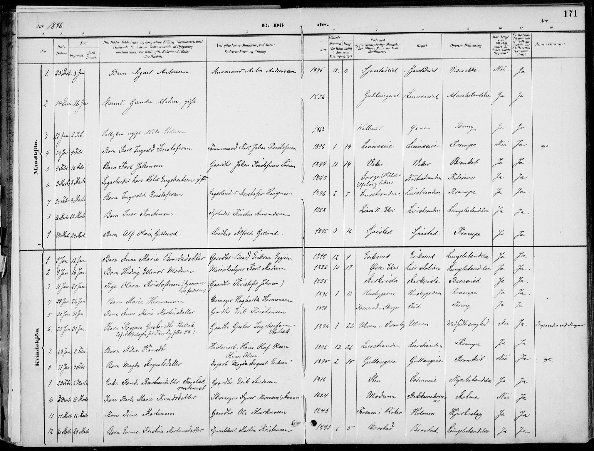 Lier kirkebøker, AV/SAKO-A-230/F/Fa/L0016: Parish register (official) no. I 16, 1895-1900, p. 171