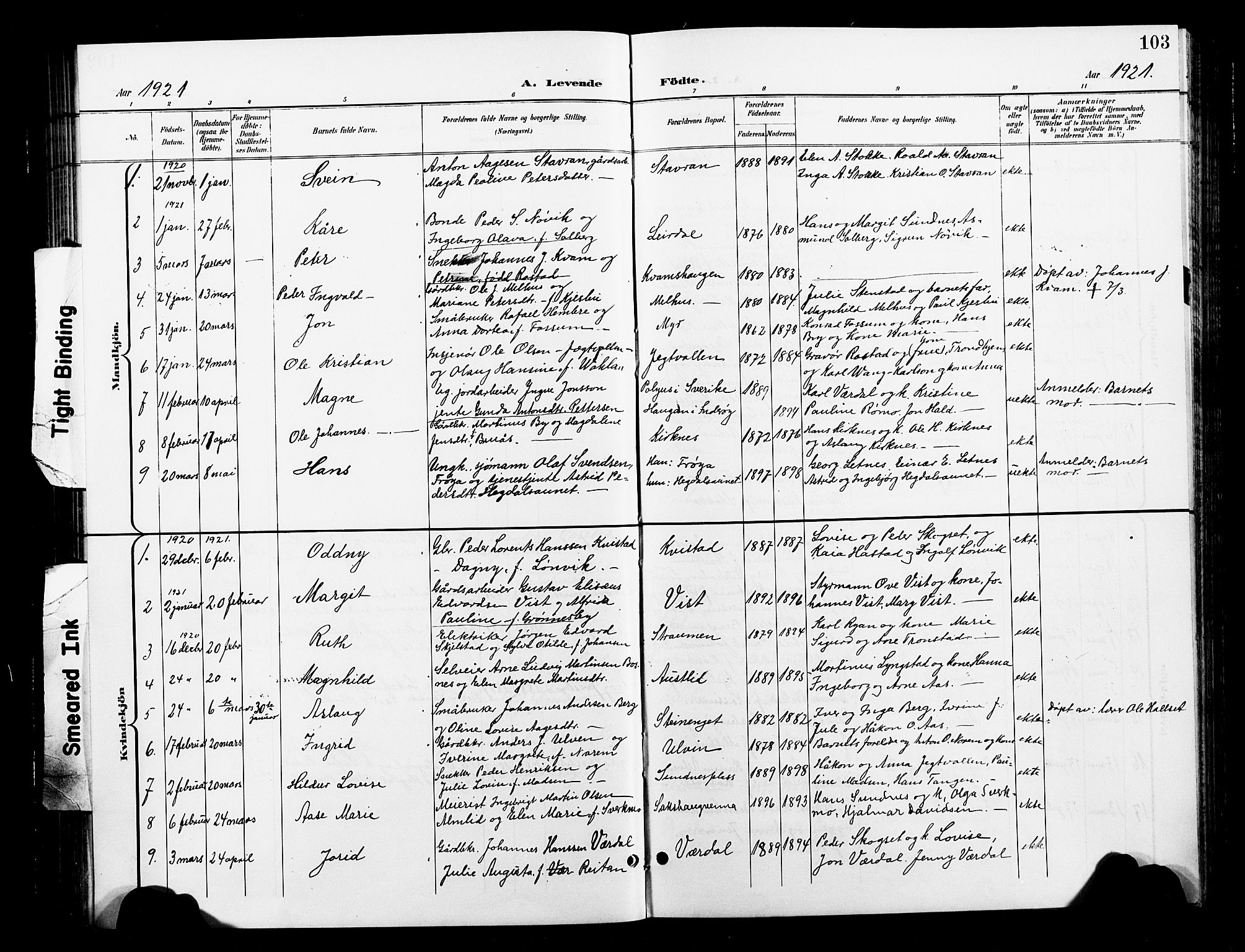 Ministerialprotokoller, klokkerbøker og fødselsregistre - Nord-Trøndelag, SAT/A-1458/730/L0302: Parish register (copy) no. 730C05, 1898-1924, p. 103