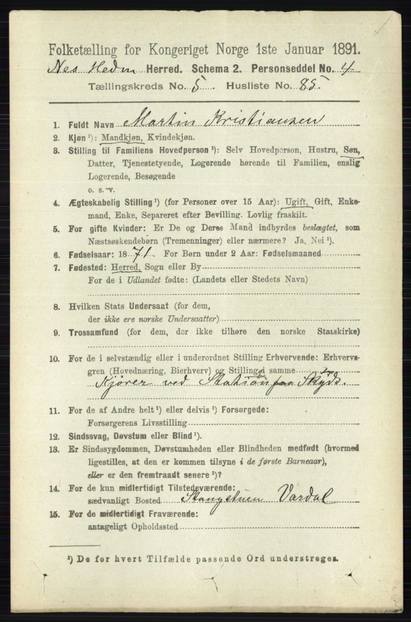 RA, 1891 census for 0411 Nes, 1891, p. 3161