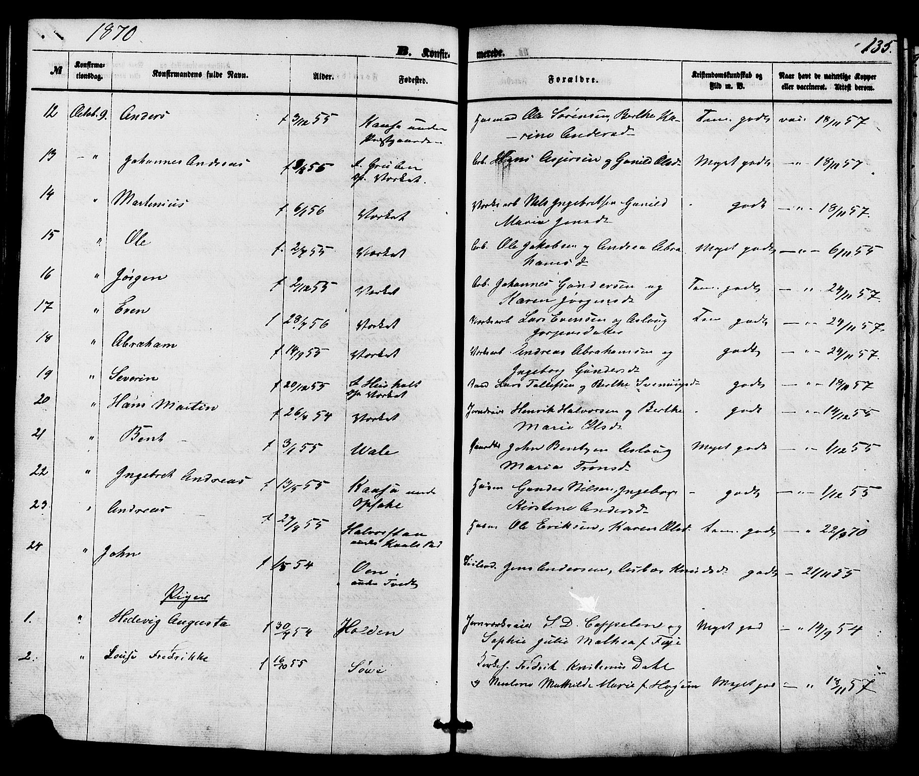 Holla kirkebøker, SAKO/A-272/F/Fa/L0007: Parish register (official) no. 7, 1869-1881, p. 135