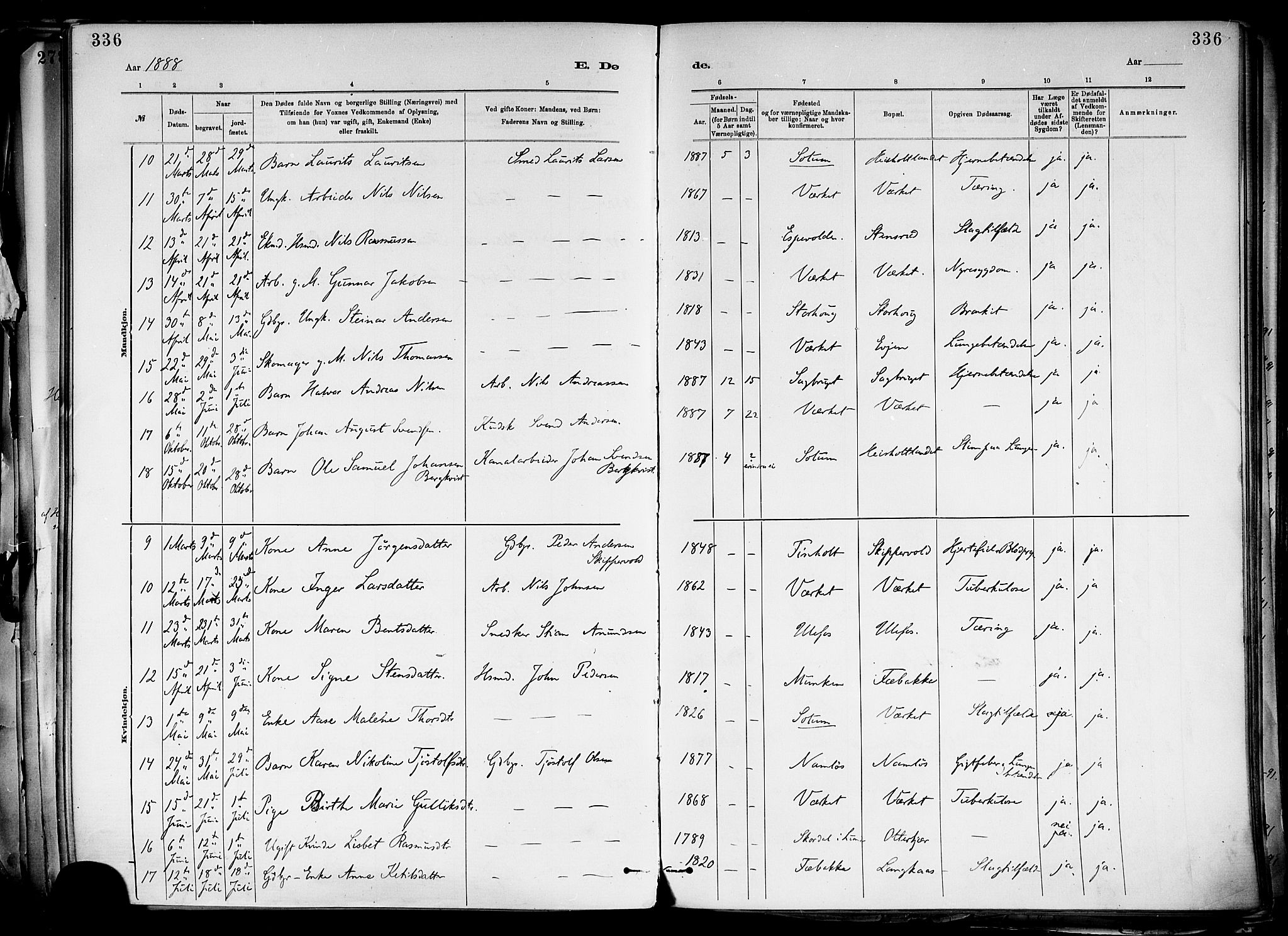 Holla kirkebøker, AV/SAKO-A-272/F/Fa/L0008: Parish register (official) no. 8, 1882-1897, p. 336