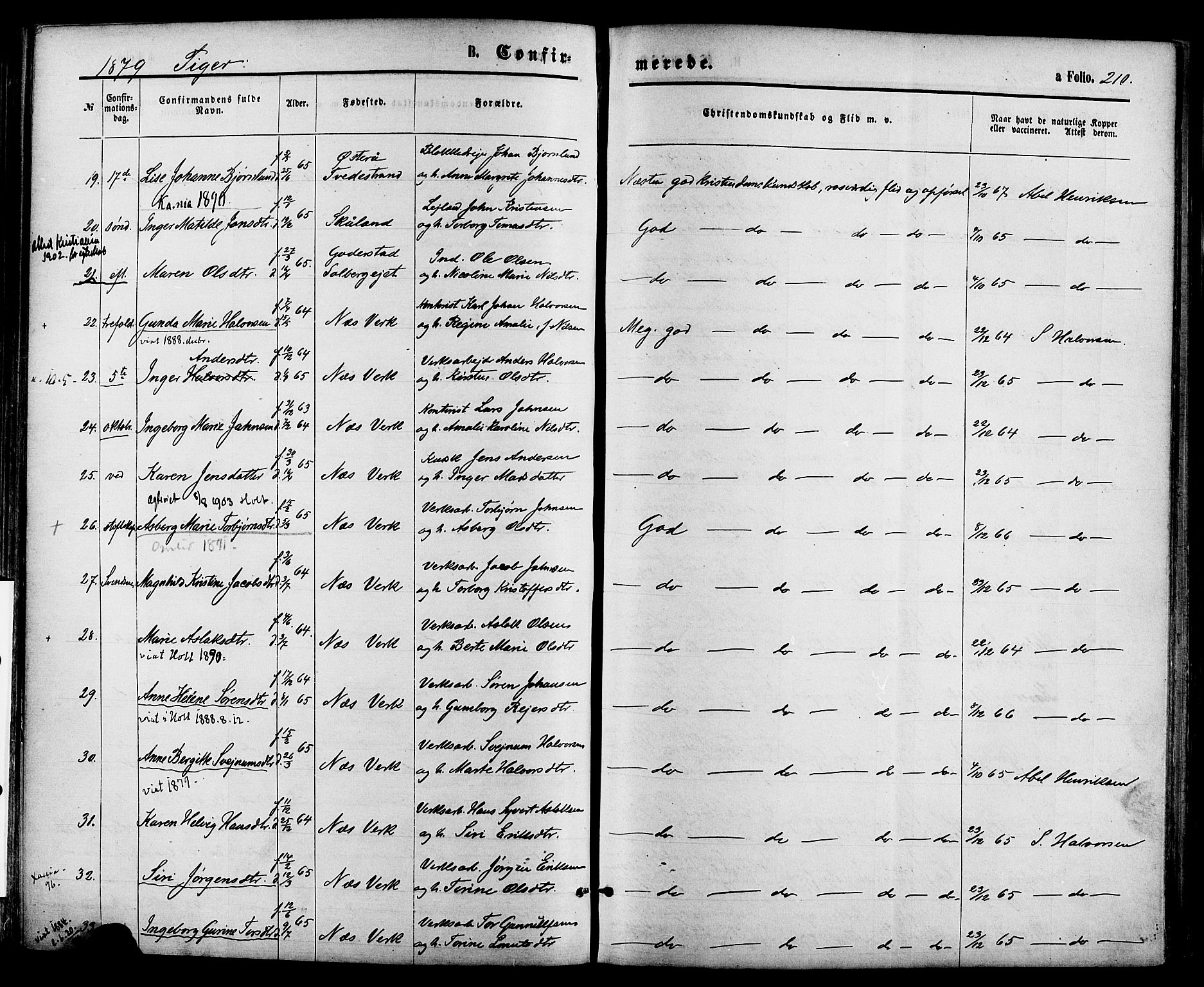 Holt sokneprestkontor, AV/SAK-1111-0021/F/Fa/L0010: Parish register (official) no. A 10, 1872-1885, p. 210